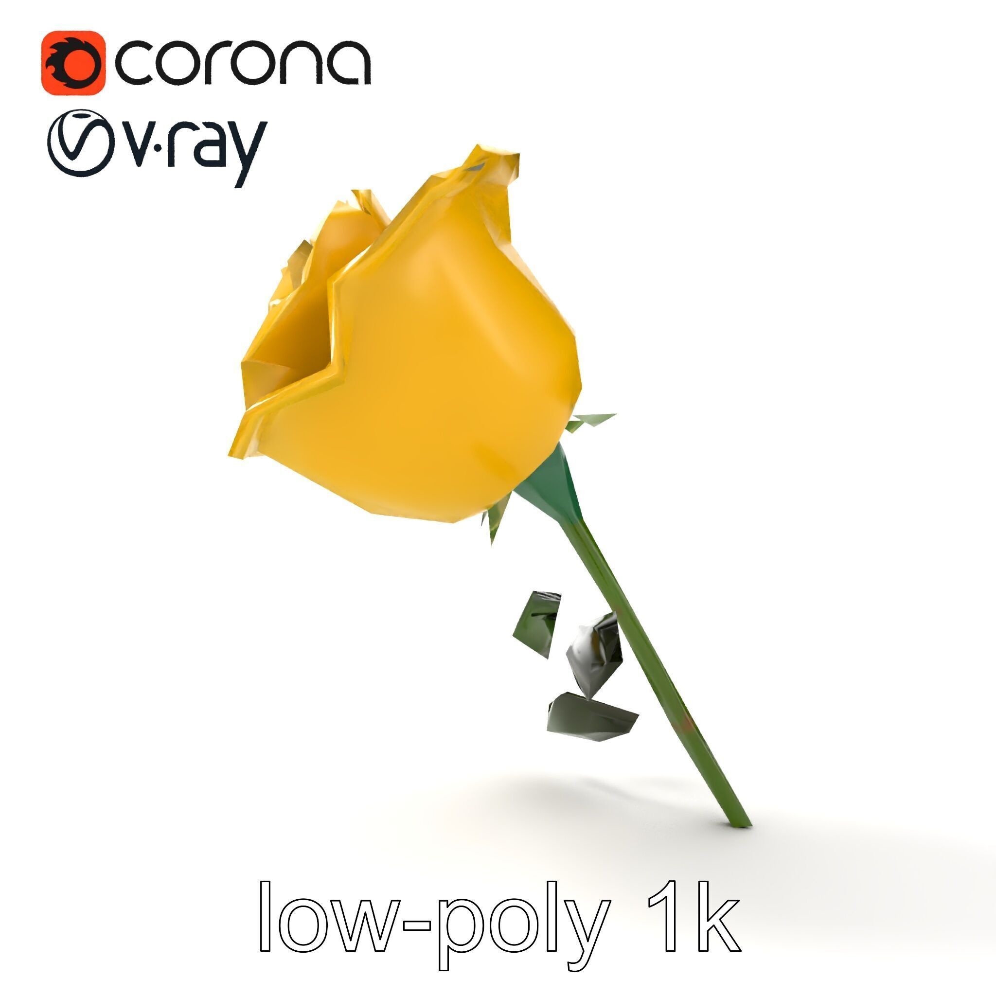 Rosa Foetida Yellow Rose Detailed Model Pack Low-poly 3D model_26