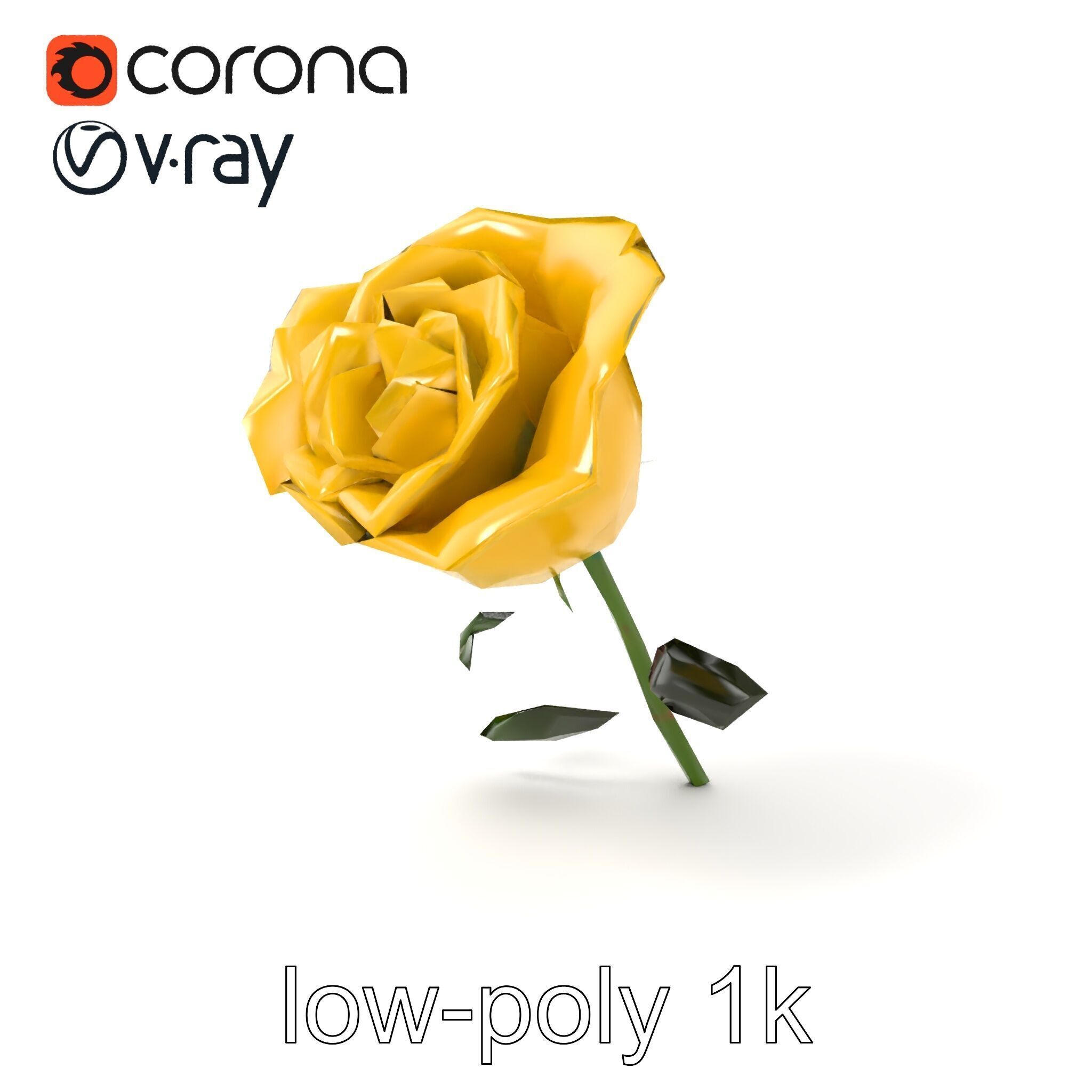 Rosa Foetida Yellow Rose Detailed Model Pack Low-poly 3D model_4