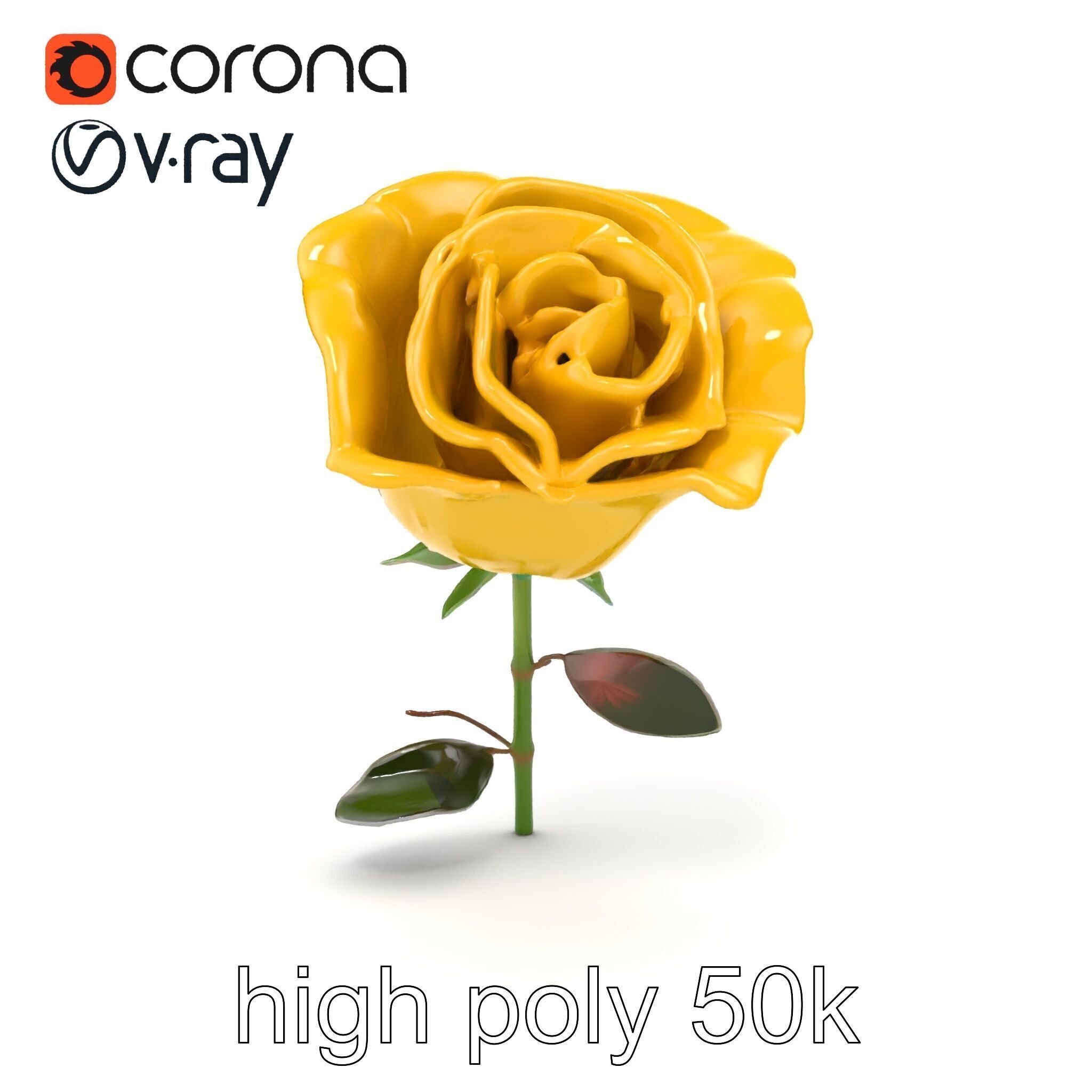 Rosa Foetida Yellow Rose Detailed Model Pack Low-poly 3D model_17
