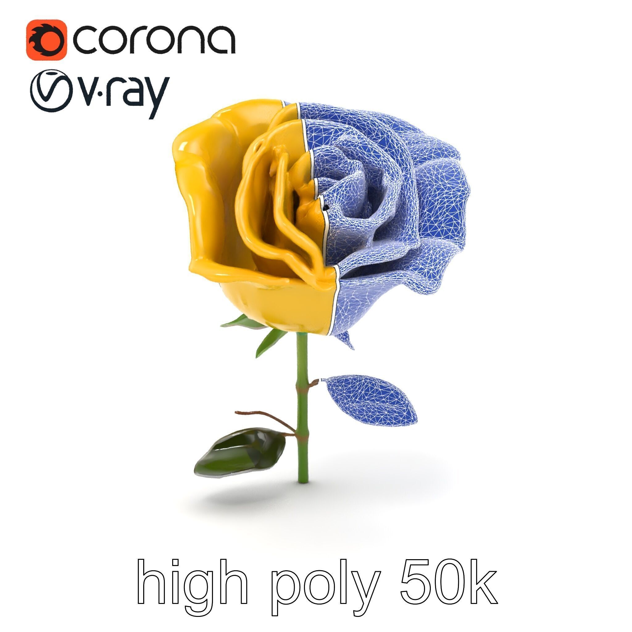 Rosa Foetida Yellow Rose Detailed Model Pack Low-poly 3D model_12