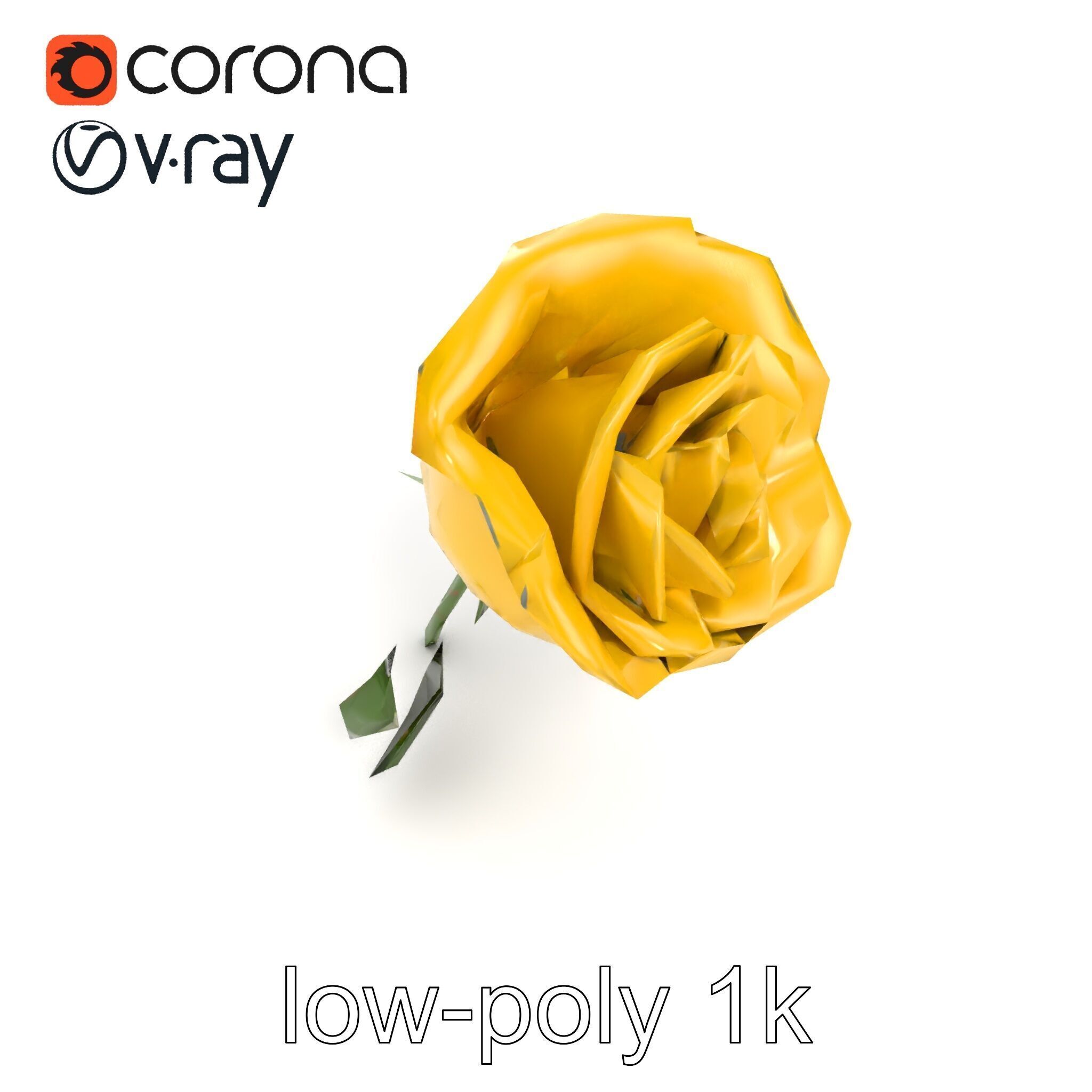 Rosa Foetida Yellow Rose Detailed Model Pack Low-poly 3D model_25