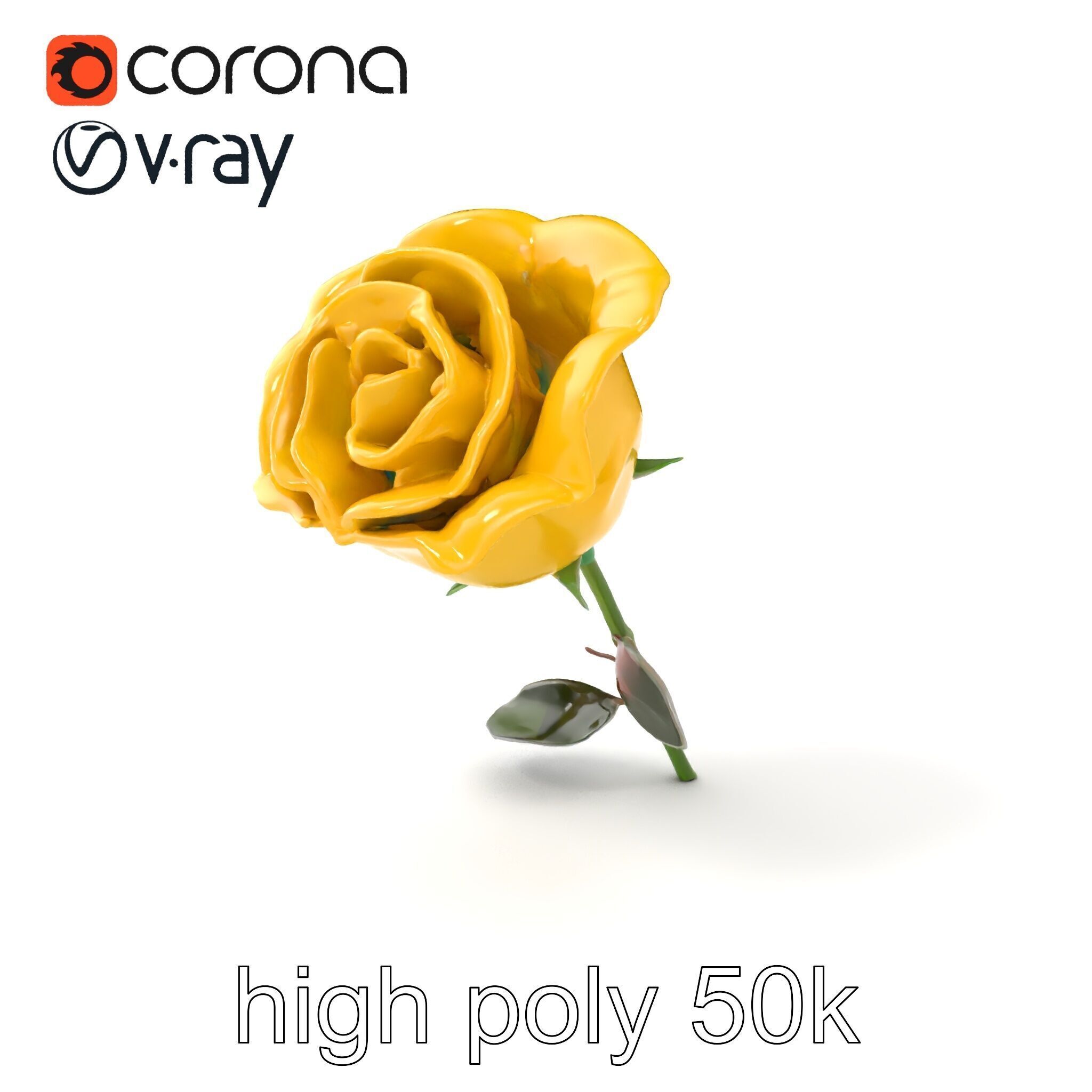 Rosa Foetida Yellow Rose Detailed Model Pack Low-poly 3D model_2