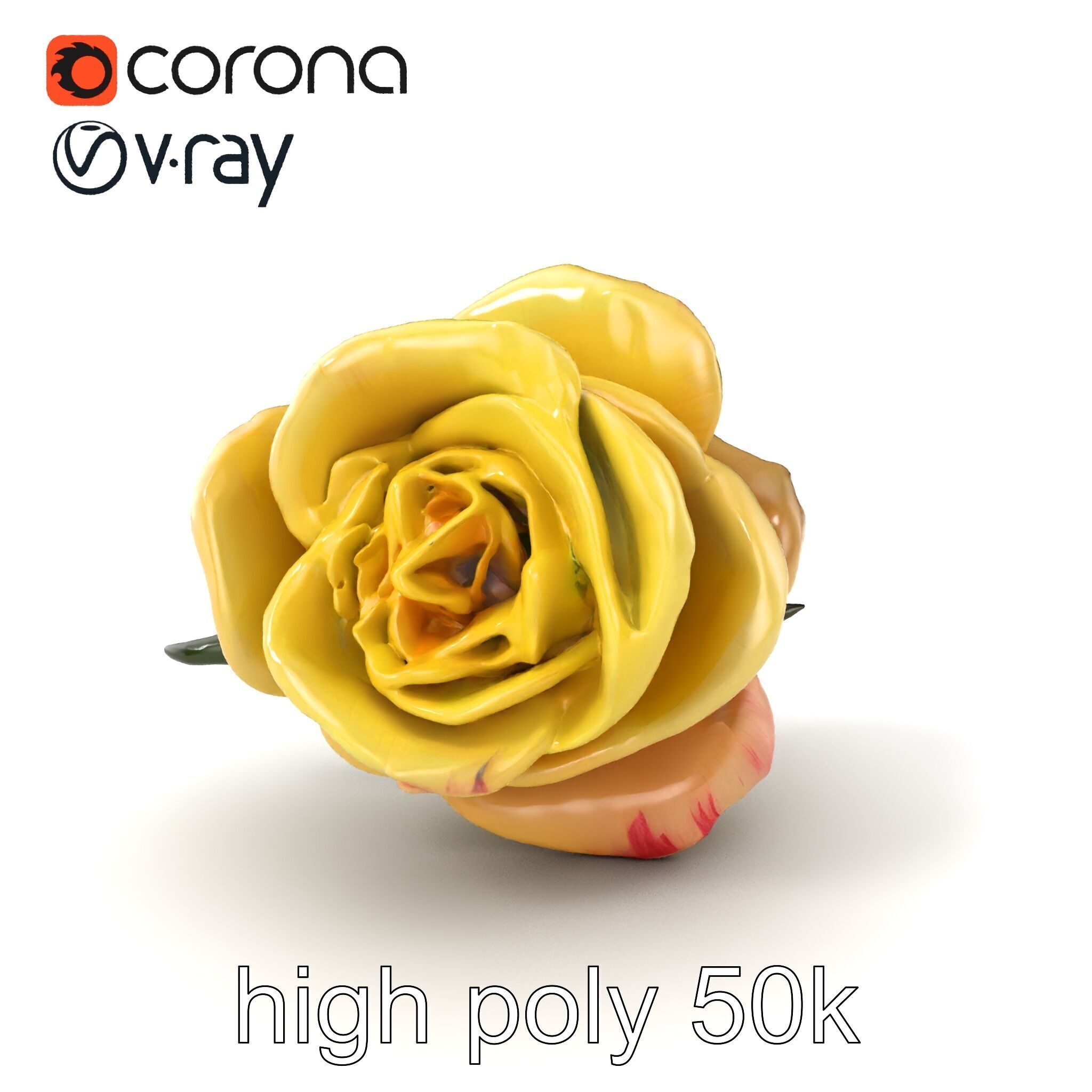 Realistic Rose Flower 3D model pack Low-poly 3D model_2