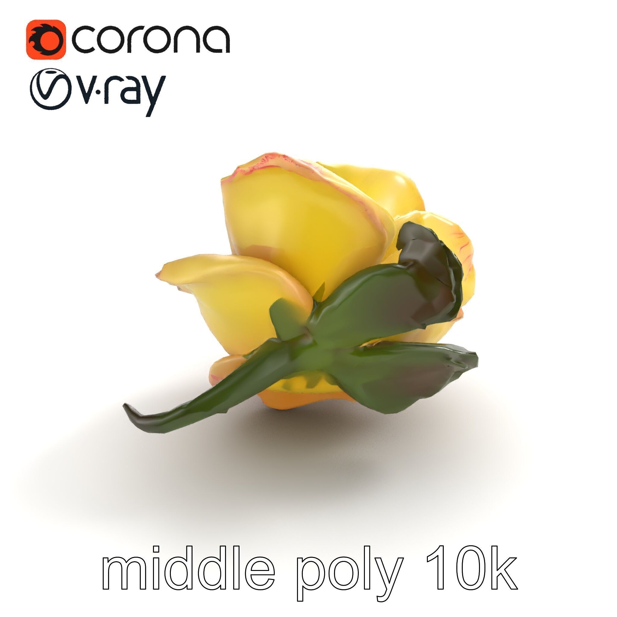 Realistic Rose Flower 3D model pack Low-poly 3D model_8