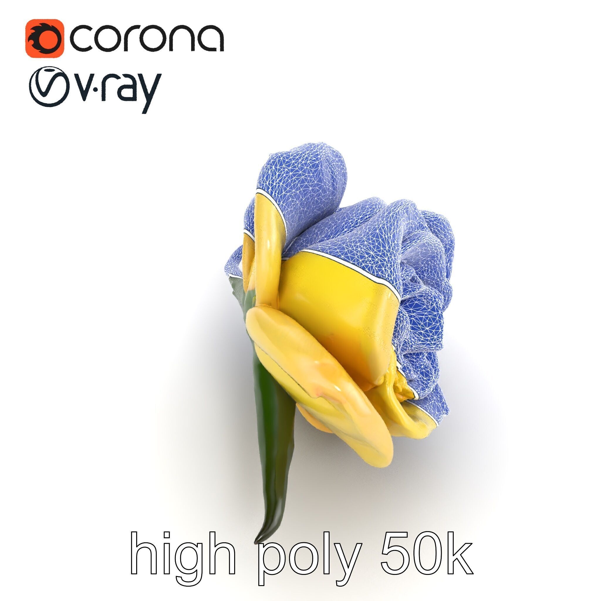 Realistic Rose Flower 3D model pack Low-poly 3D model_28