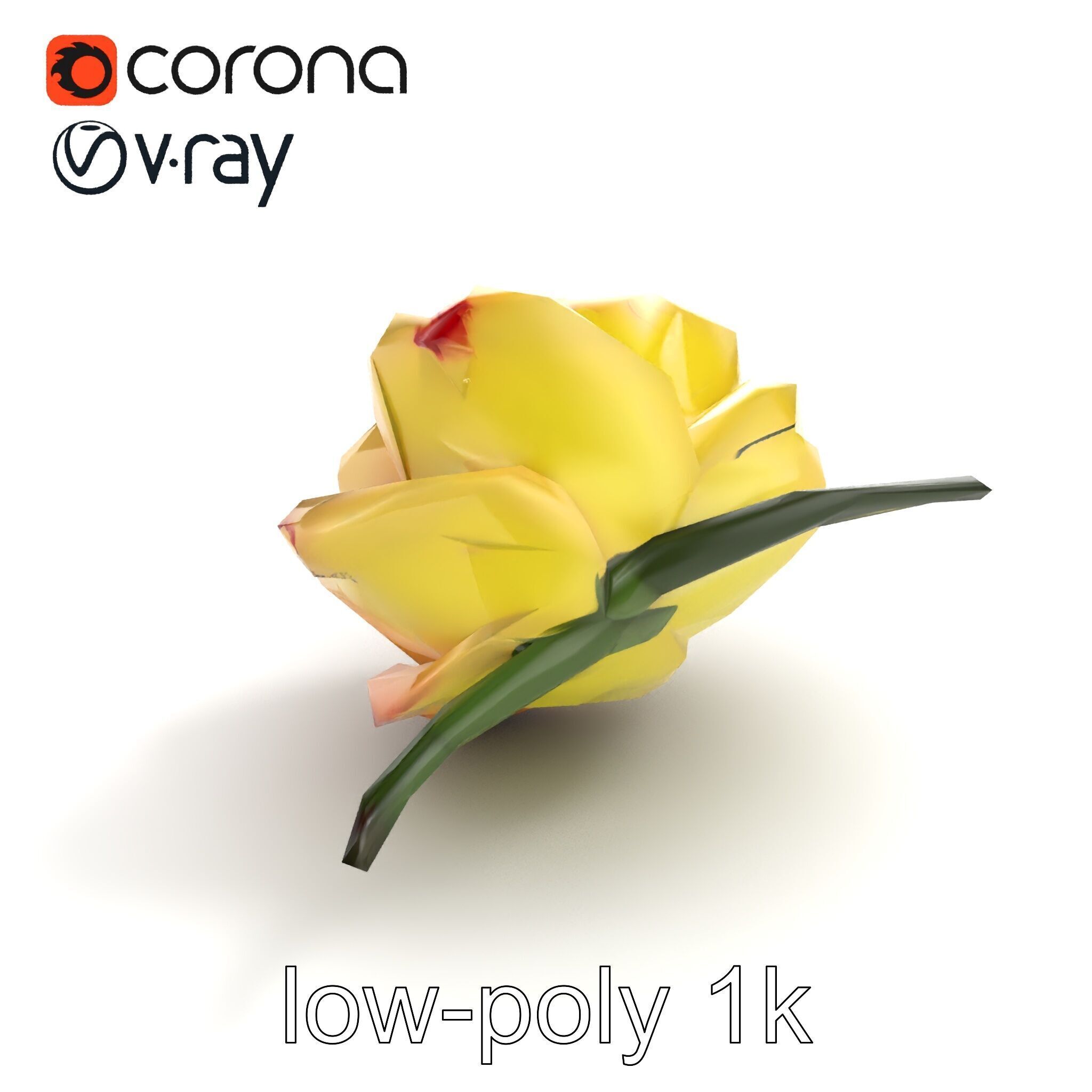 Realistic Rose Flower 3D model pack Low-poly 3D model_9