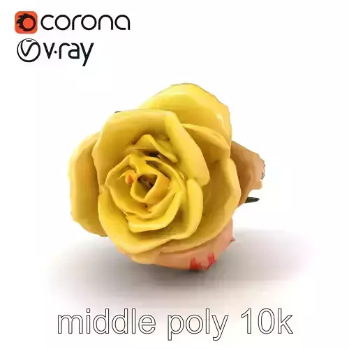 Realistic Rose Flower 3D model pack