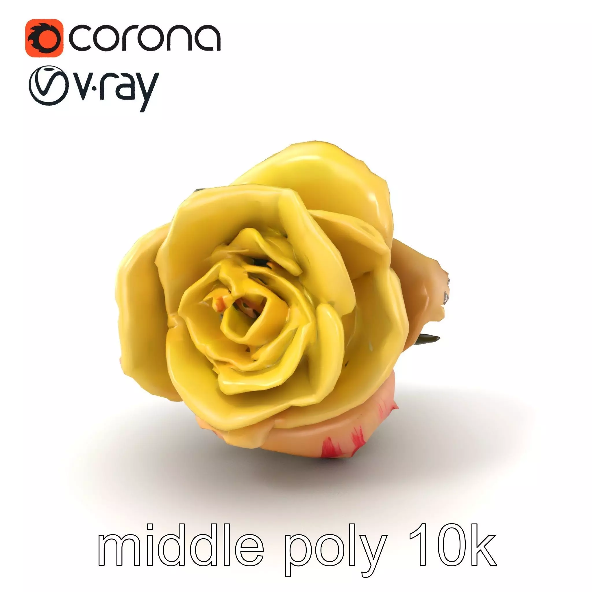 Realistic Rose Flower 3D model pack Low-poly 3D model_0