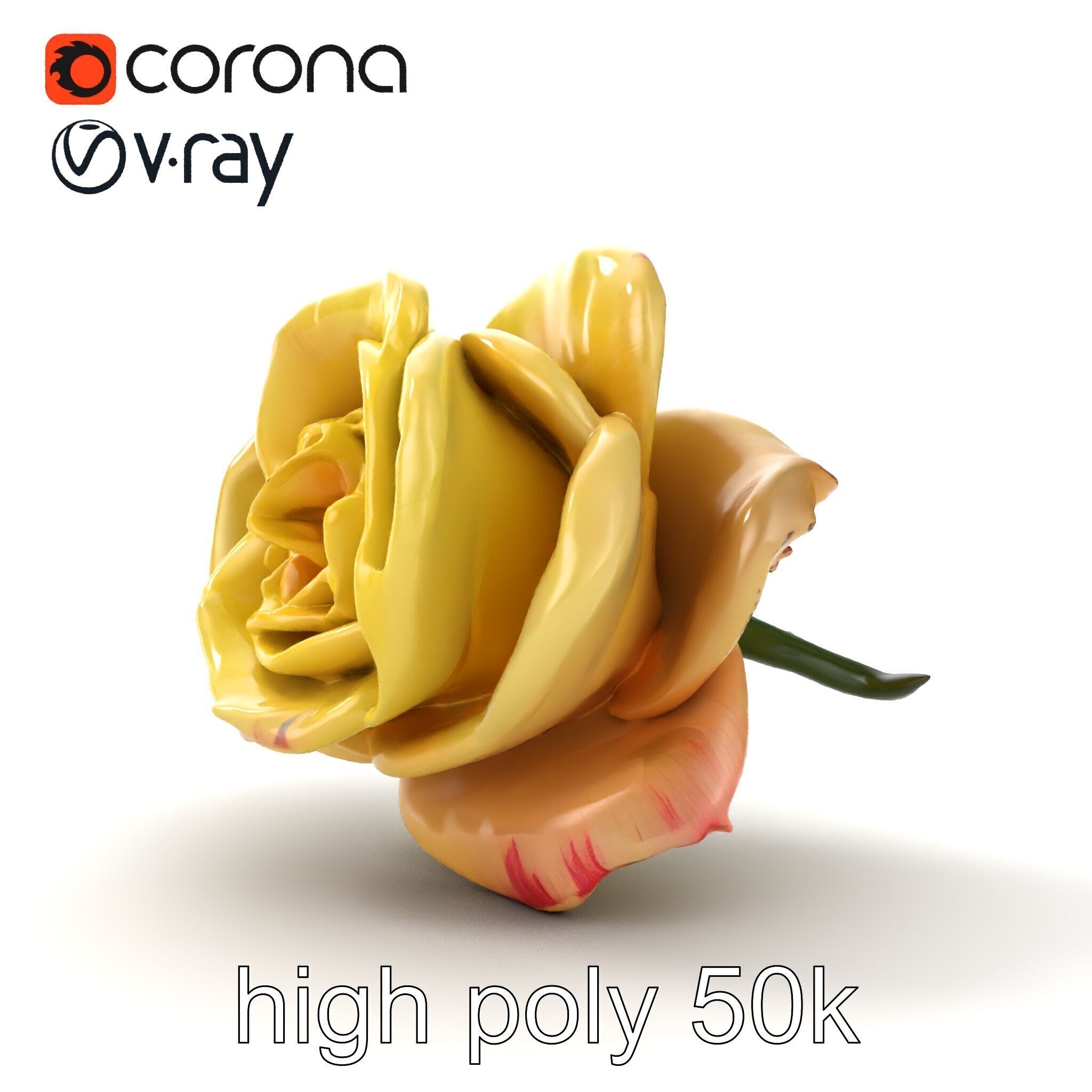 Realistic Rose Flower 3D model pack Low-poly 3D model_24