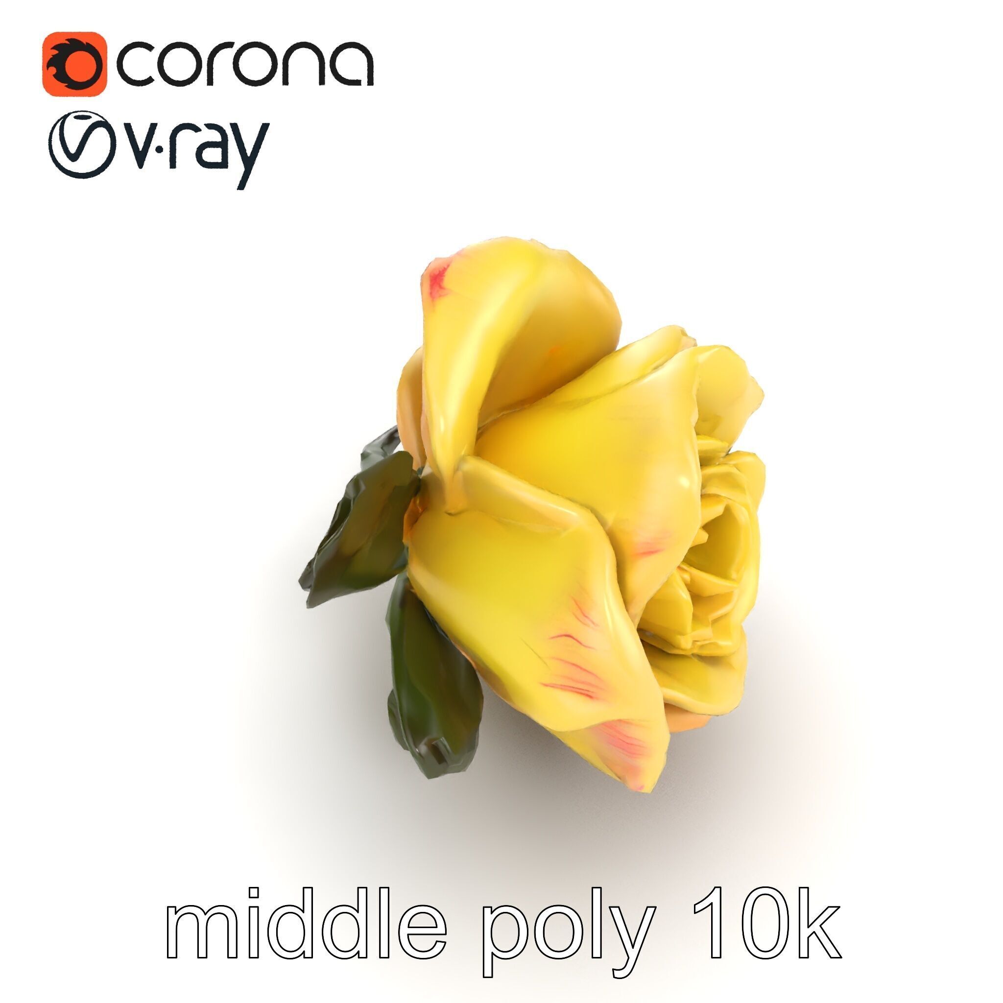 Realistic Rose Flower 3D model pack Low-poly 3D model_25