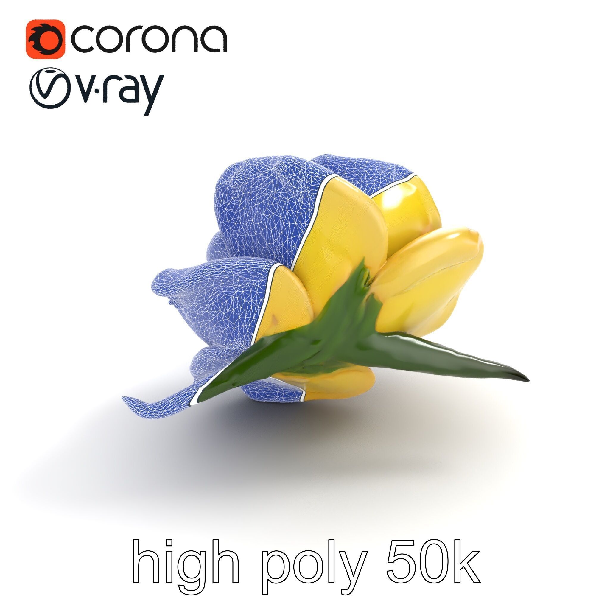 Realistic Rose Flower 3D model pack Low-poly 3D model_17