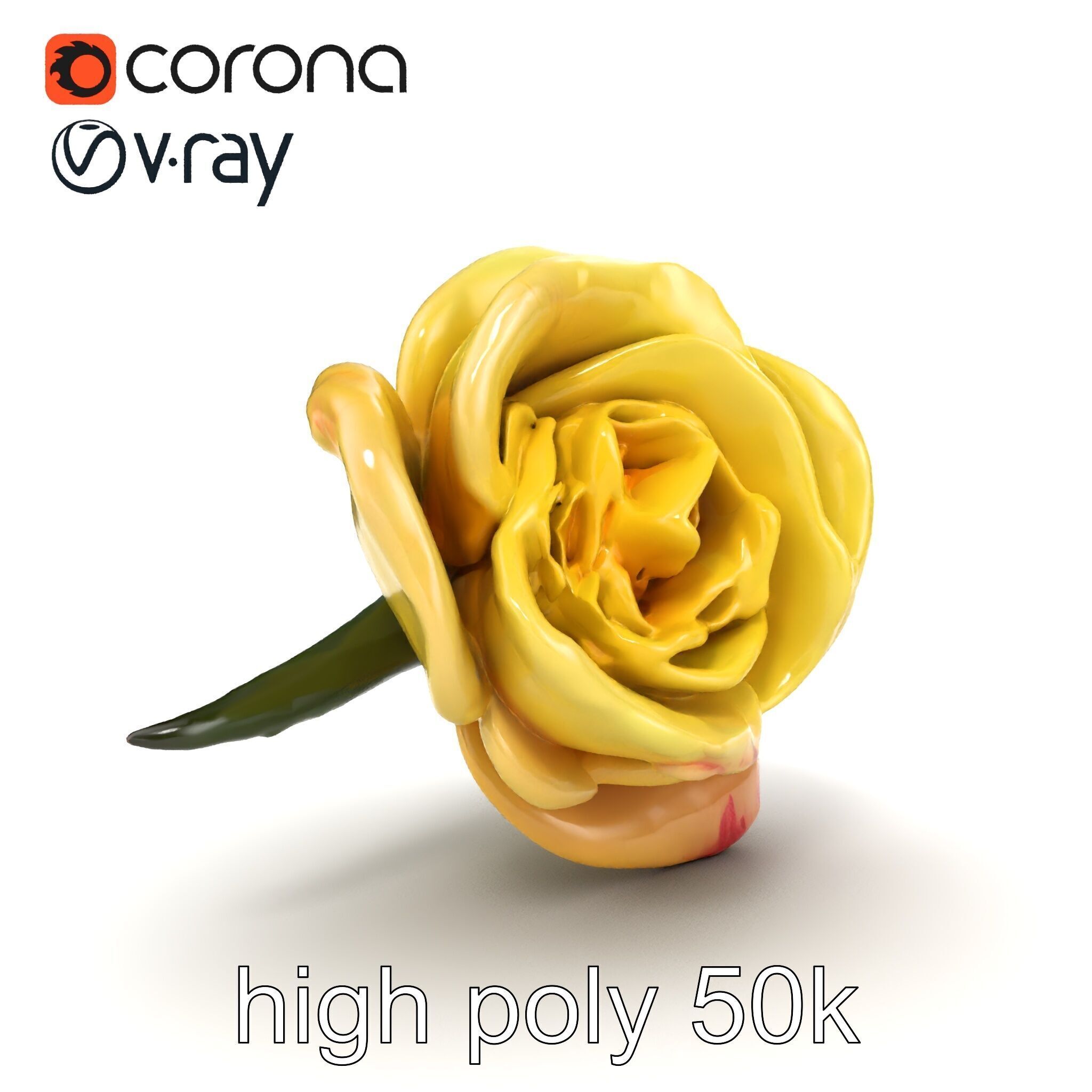 Realistic Rose Flower 3D model pack Low-poly 3D model_16