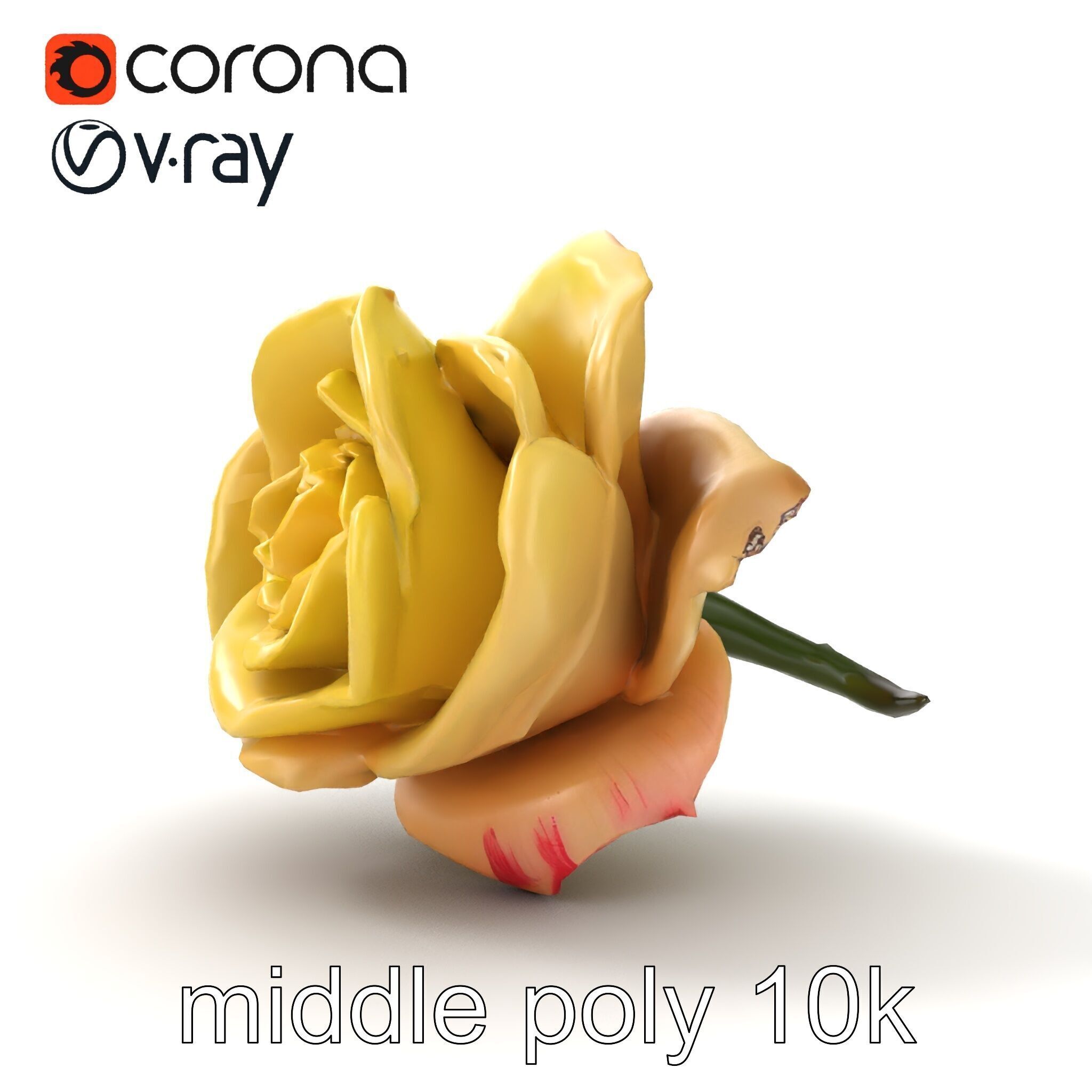 Realistic Rose Flower 3D model pack Low-poly 3D model_32