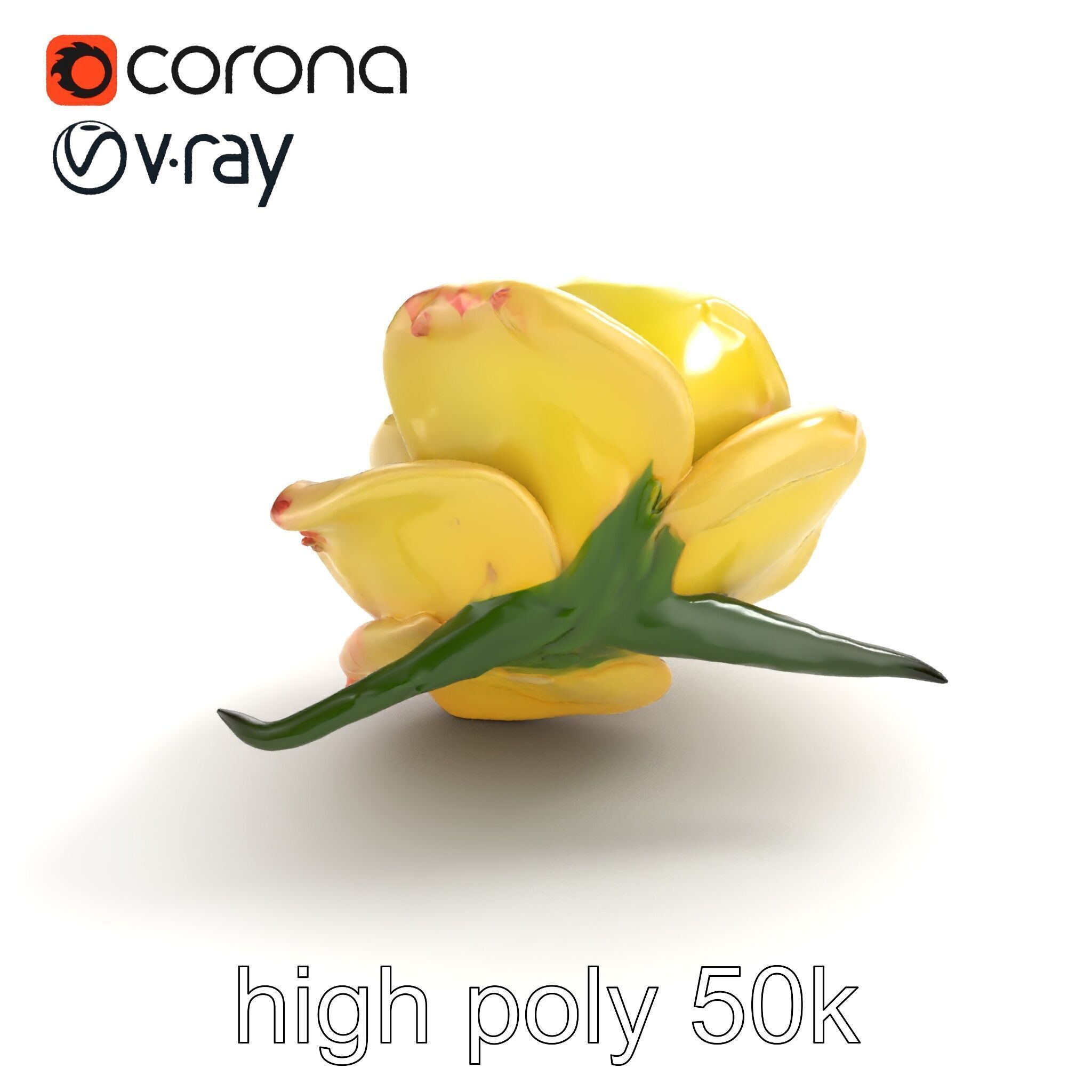 Realistic Rose Flower 3D model pack Low-poly 3D model_13