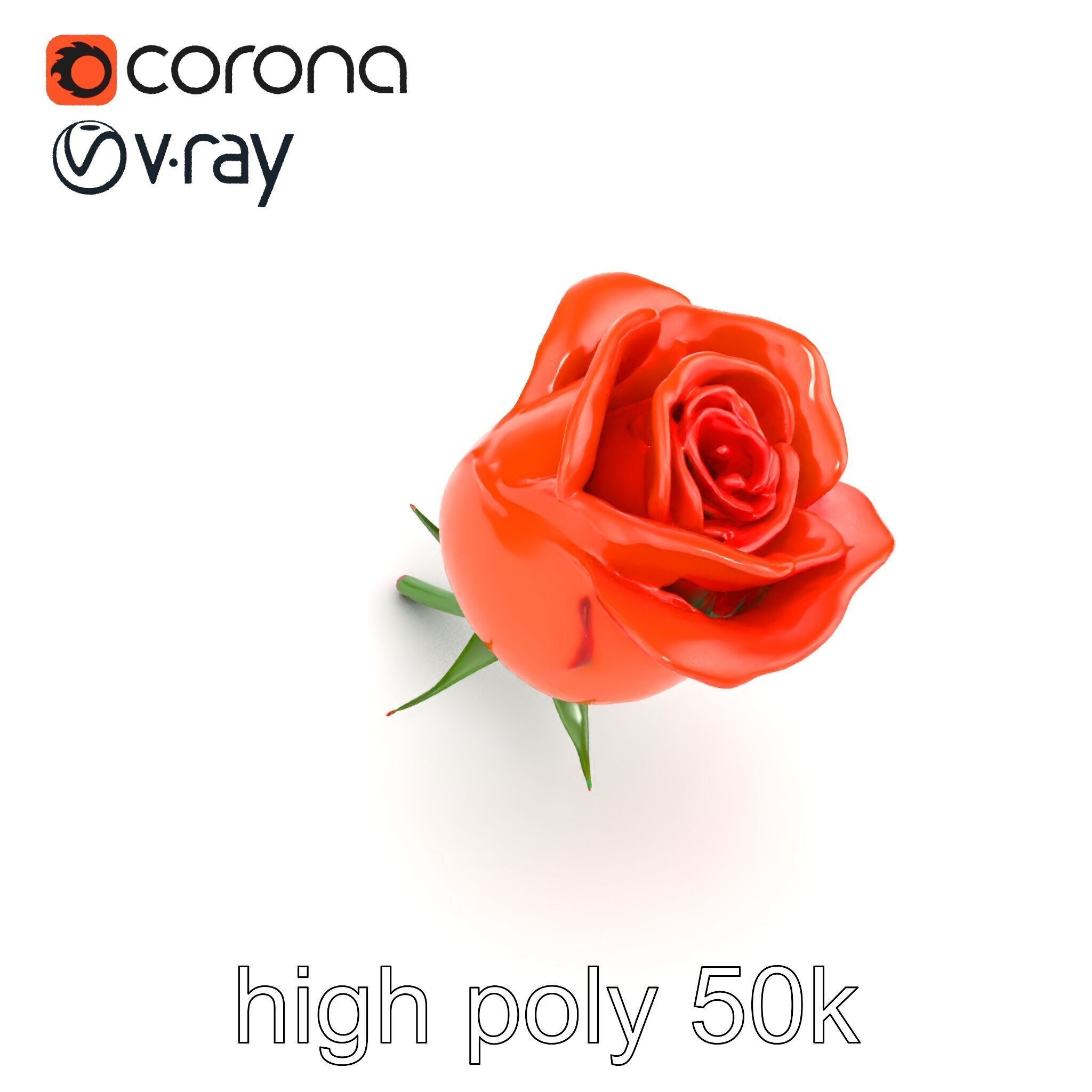 Rosa Orange Rose with Red Tips model pack Low-poly 3D model_18