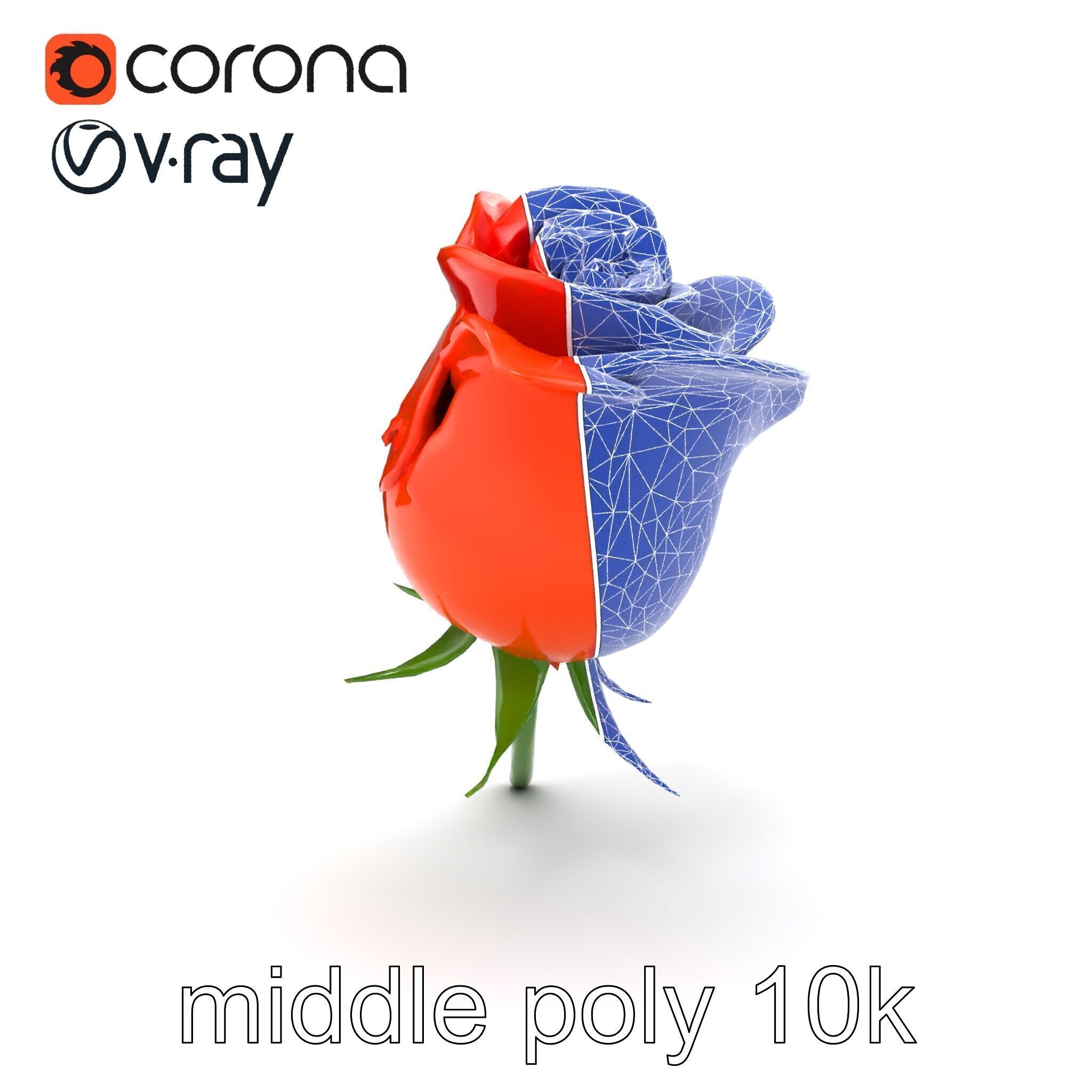 Rosa Orange Rose with Red Tips model pack Low-poly 3D model_31