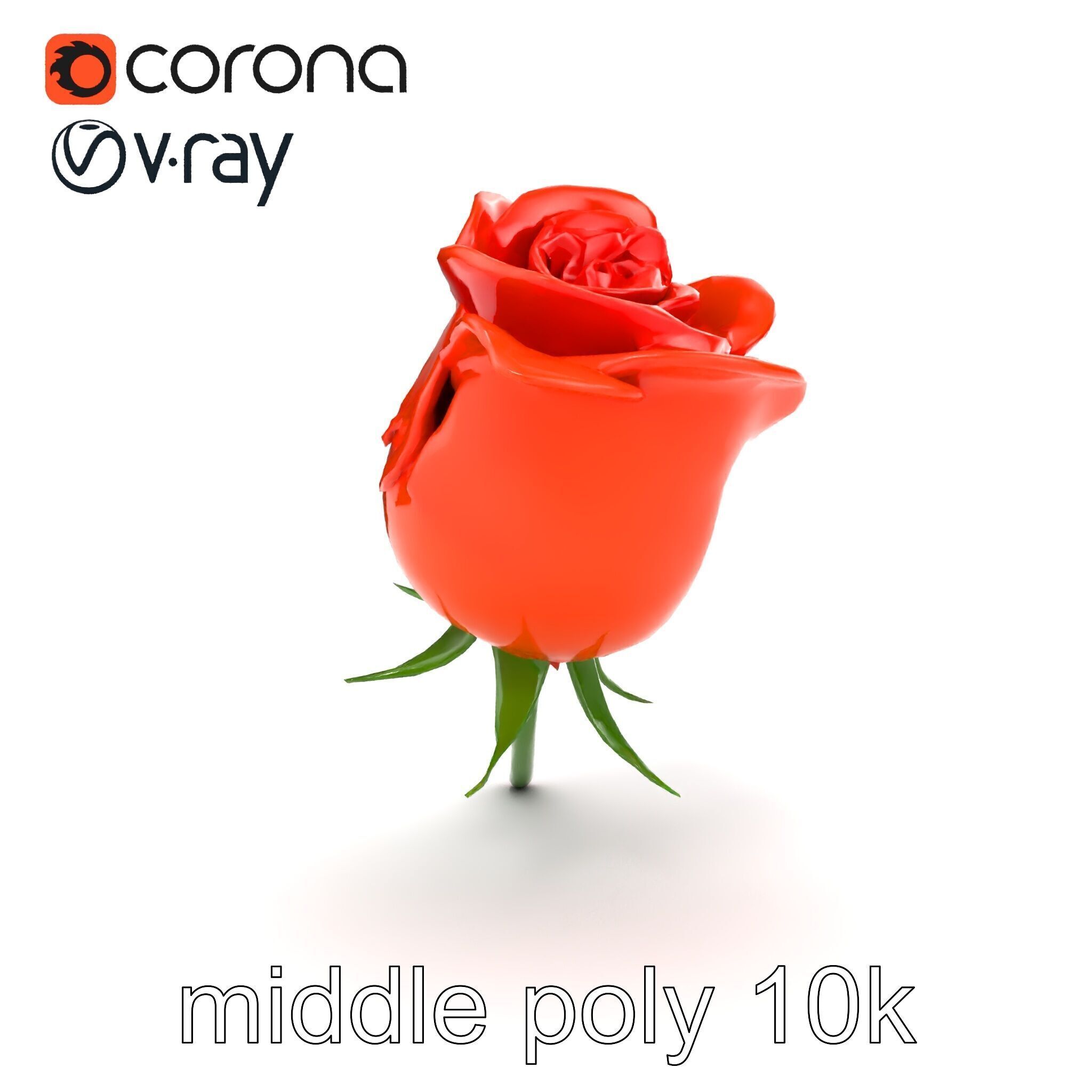 Rosa Orange Rose with Red Tips model pack Low-poly 3D model_12
