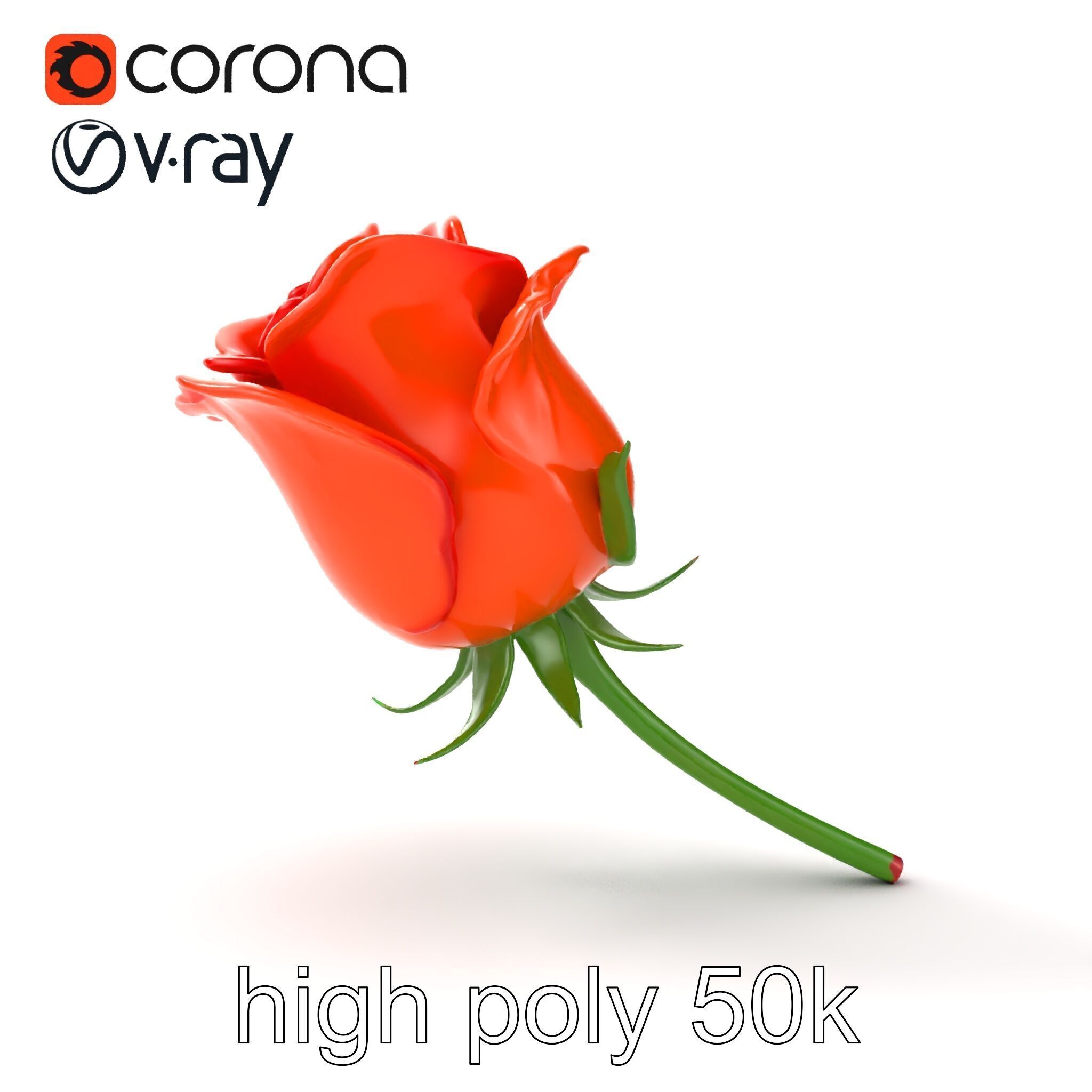 Rosa Orange Rose with Red Tips model pack Low-poly 3D model_27