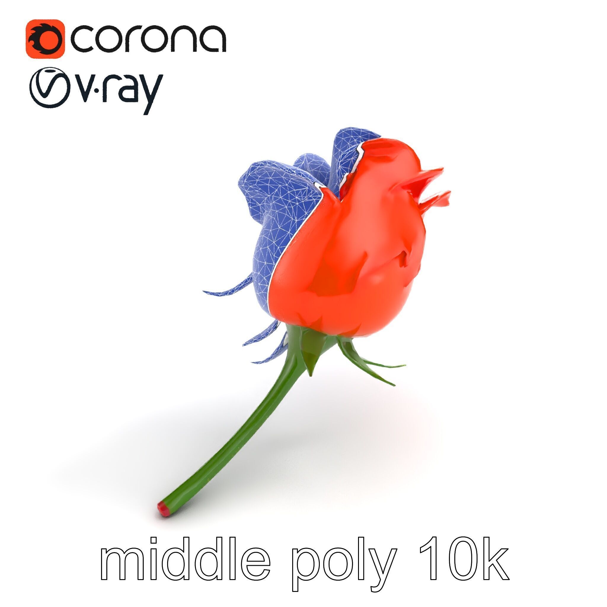 Rosa Orange Rose with Red Tips model pack Low-poly 3D model_15