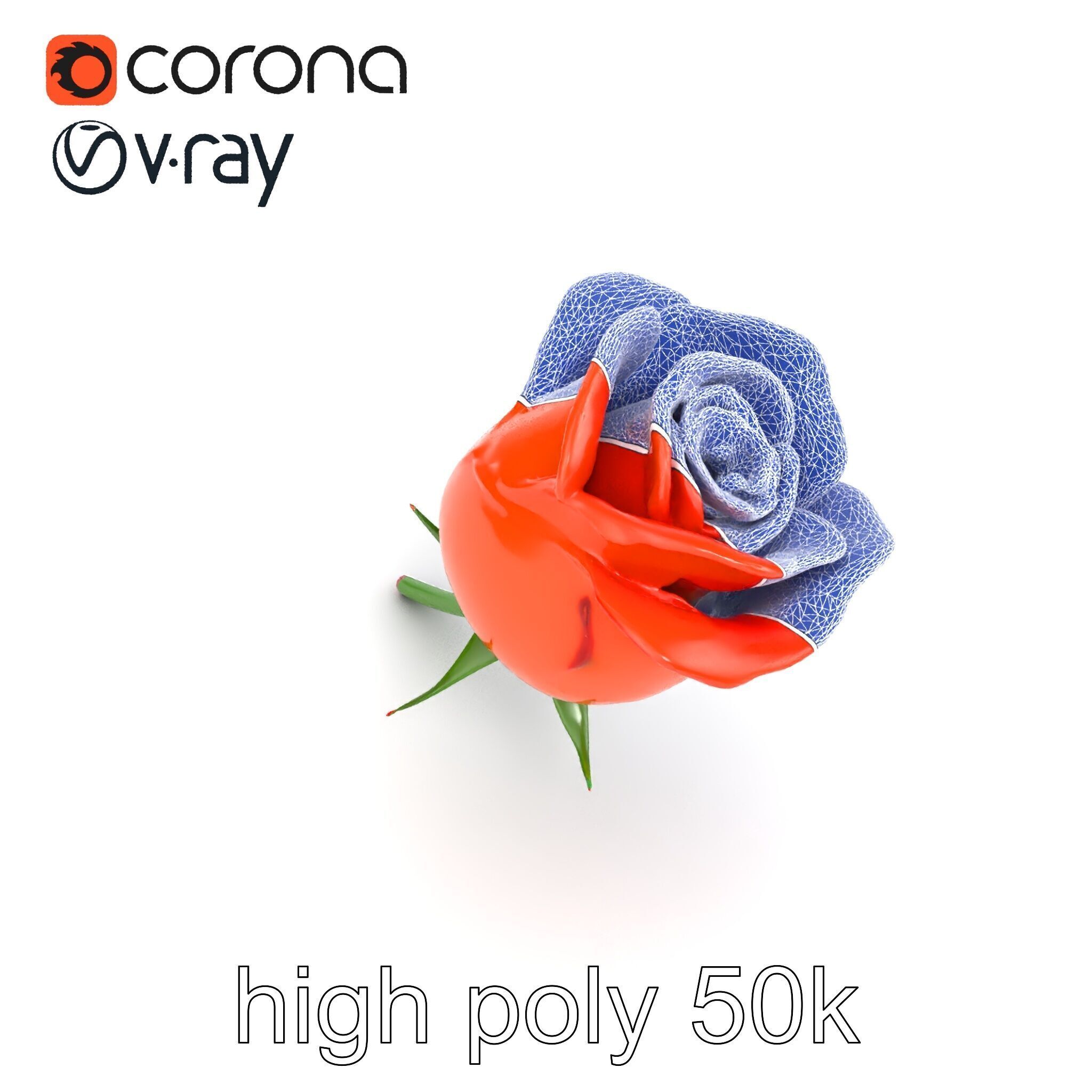 Rosa Orange Rose with Red Tips model pack Low-poly 3D model_25