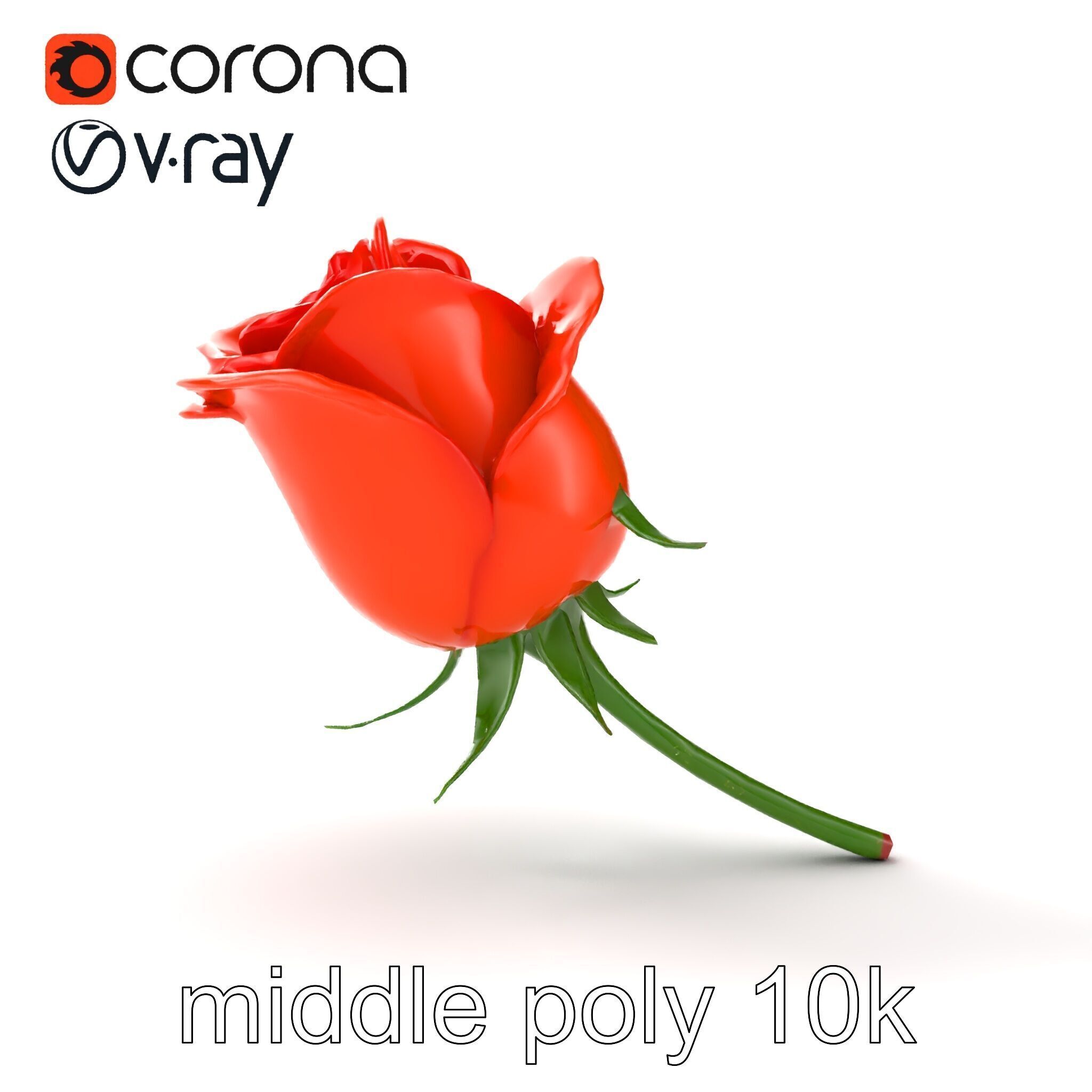 Rosa Orange Rose with Red Tips model pack Low-poly 3D model_17
