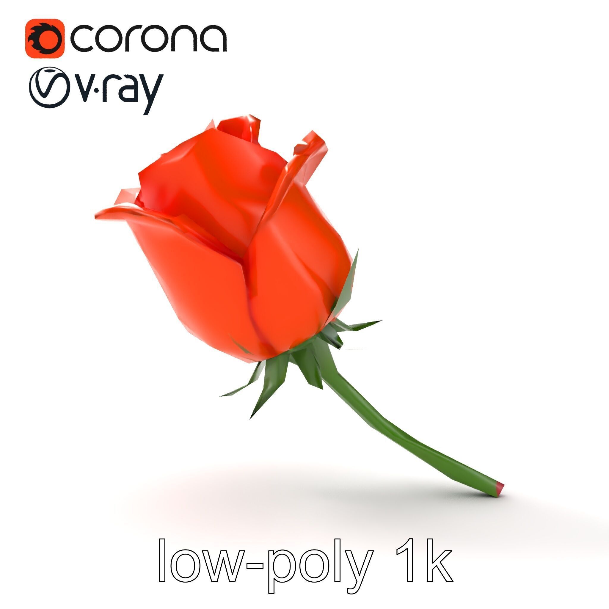 Rosa Orange Rose with Red Tips model pack Low-poly 3D model_19
