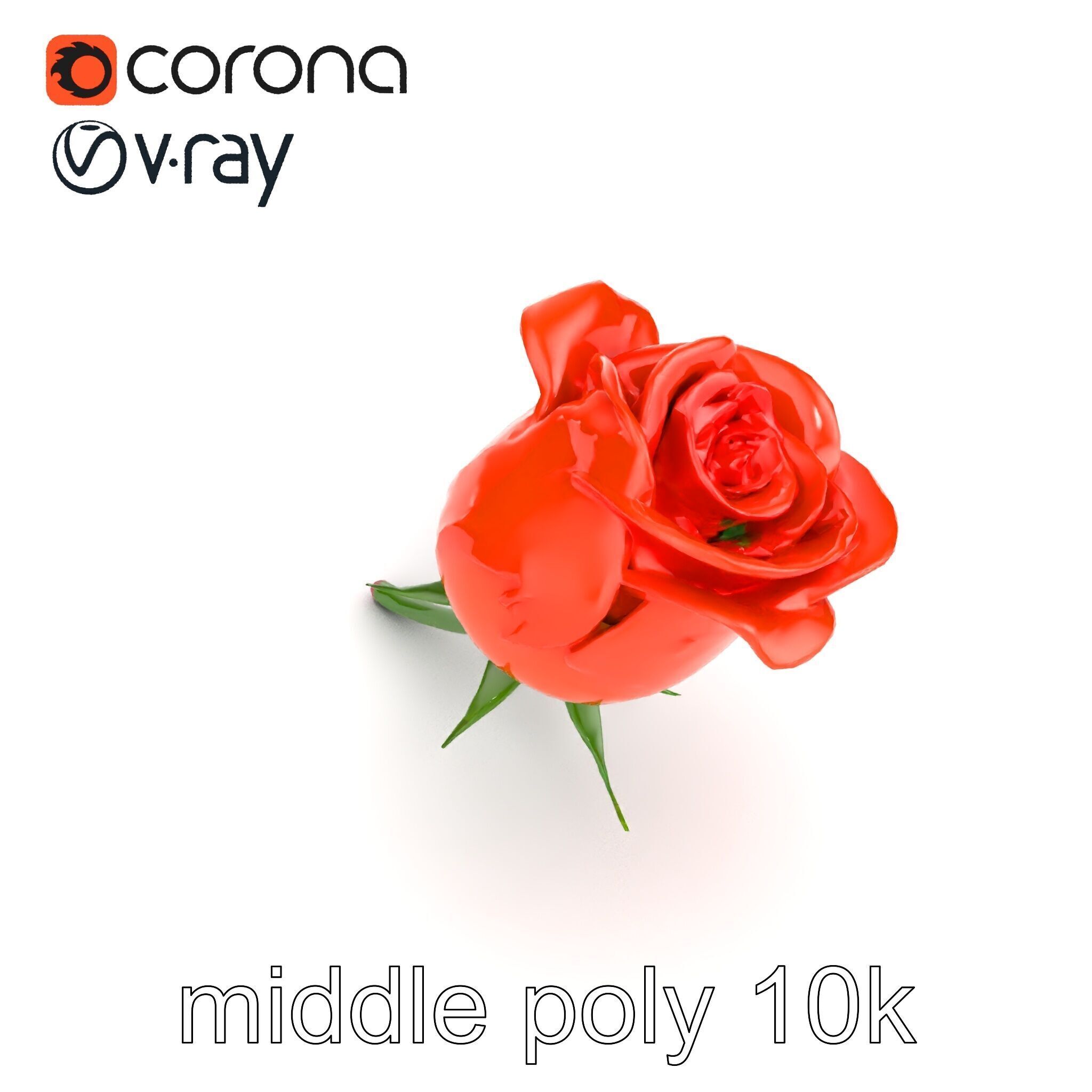 Rosa Orange Rose with Red Tips model pack Low-poly 3D model_13