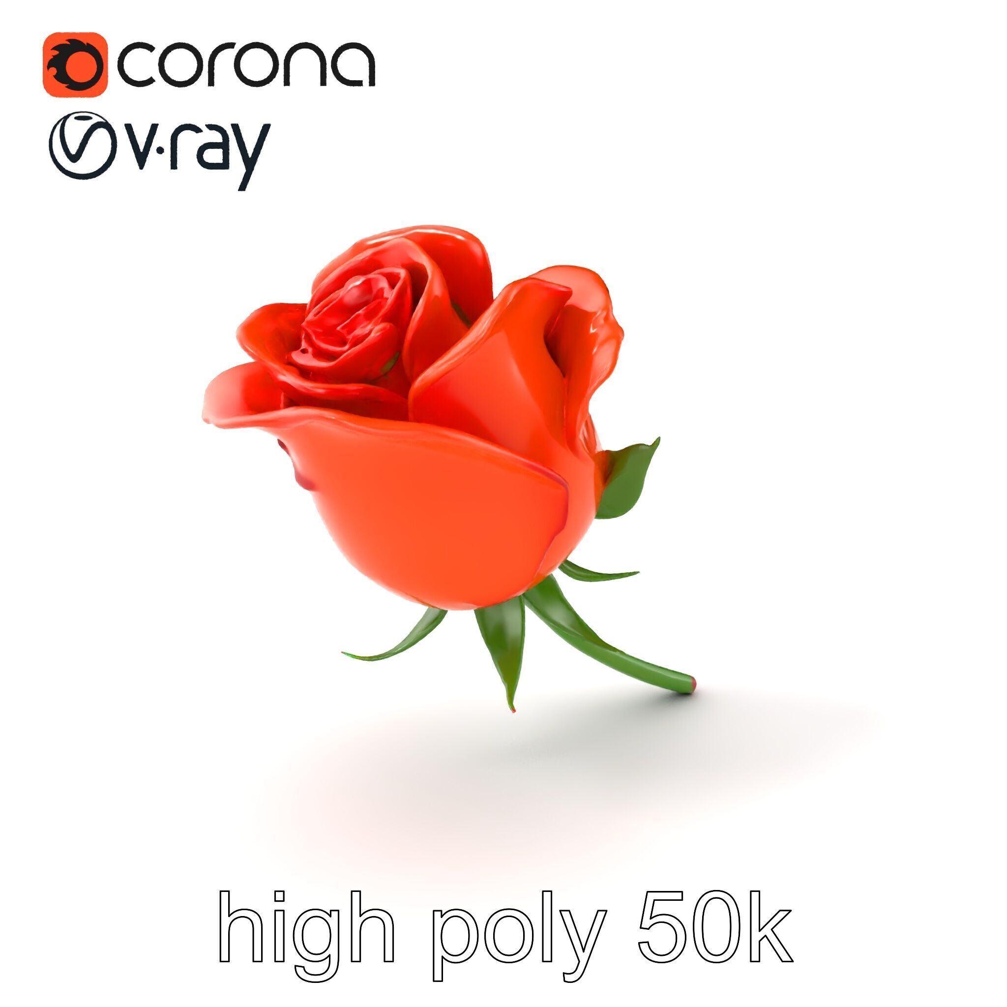 Rosa Orange Rose with Red Tips model pack Low-poly 3D model_2