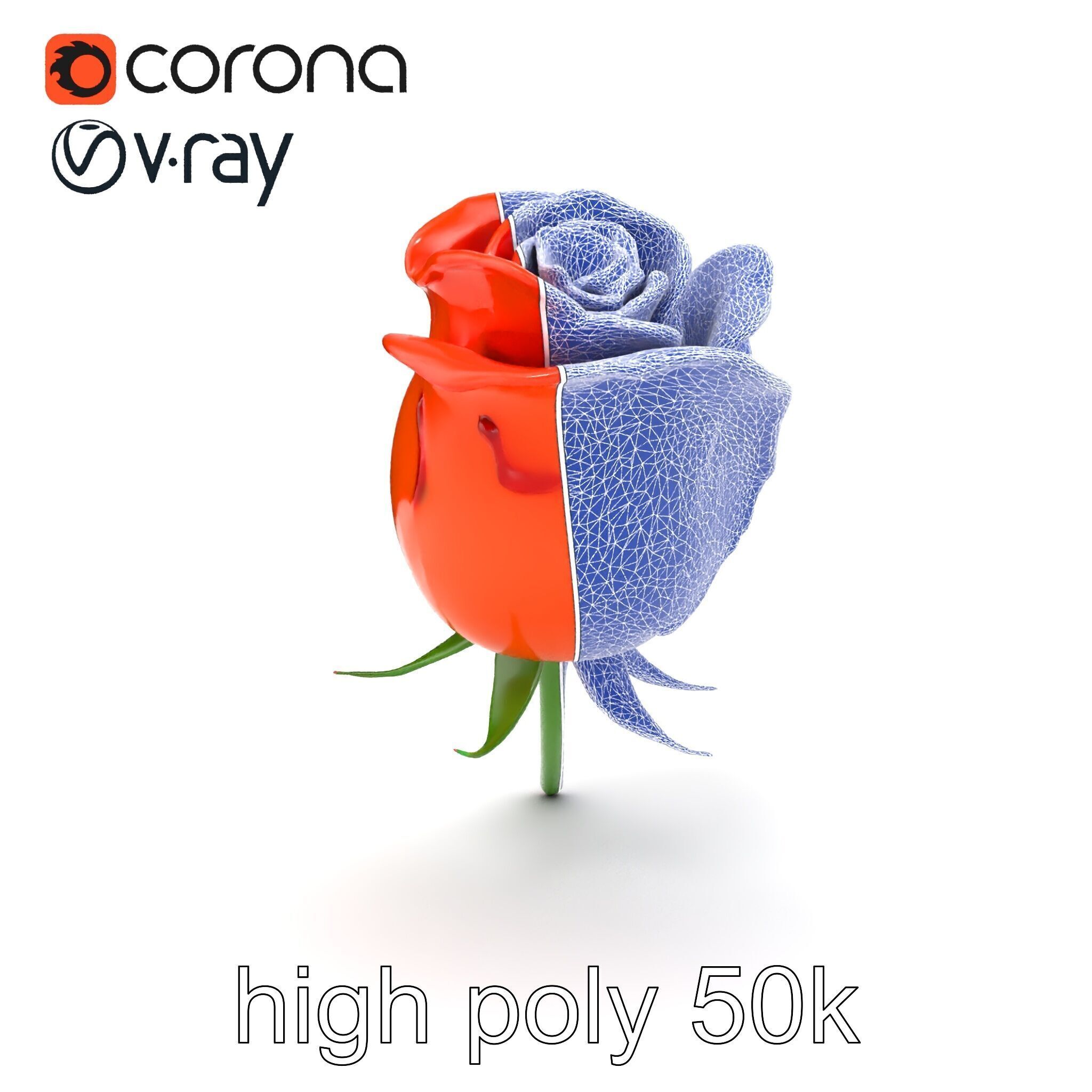 Rosa Orange Rose with Red Tips model pack Low-poly 3D model_24
