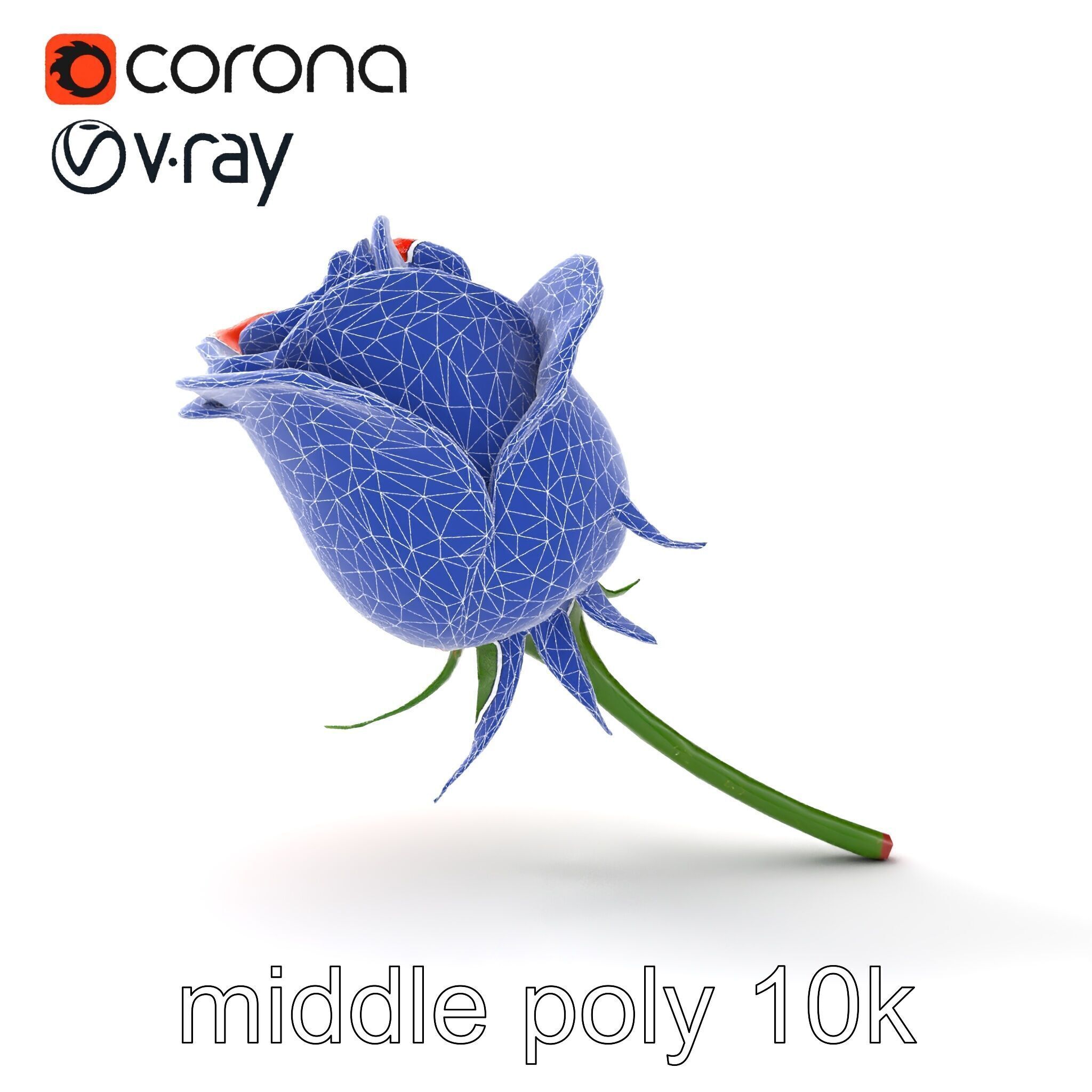Rosa Orange Rose with Red Tips model pack Low-poly 3D model_30