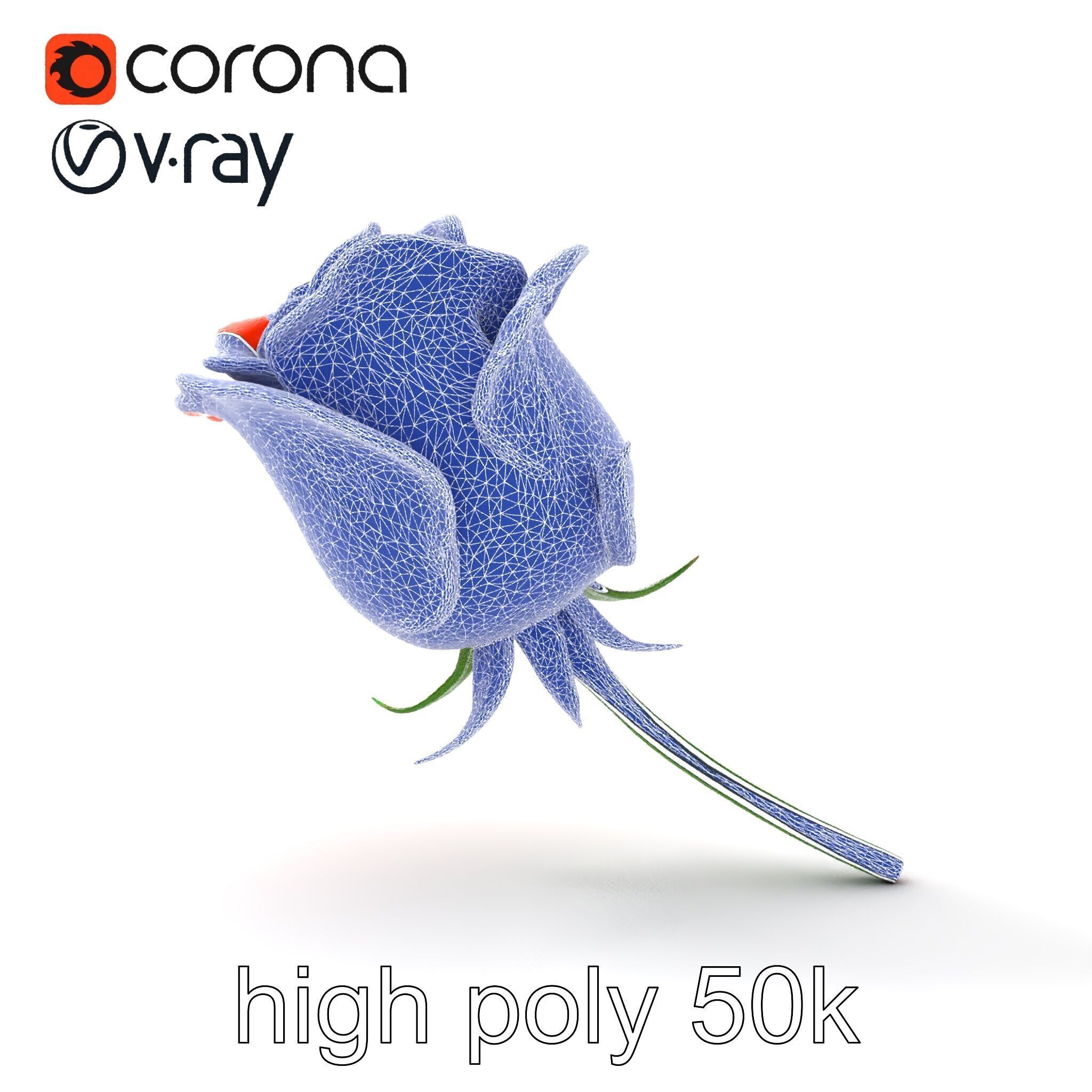 Rosa Orange Rose with Red Tips model pack Low-poly 3D model_32