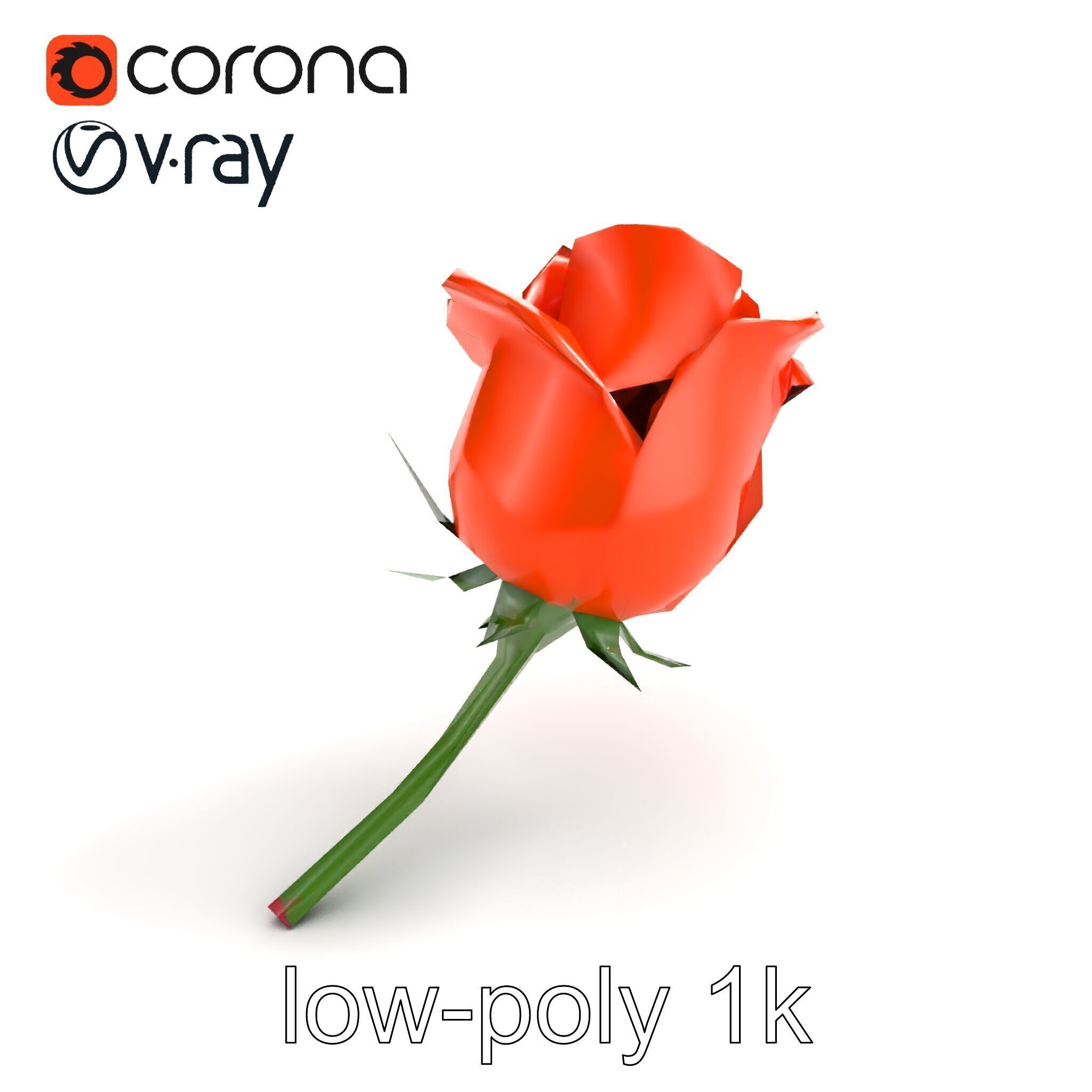 Rosa Orange Rose with Red Tips model pack Low-poly 3D model_9