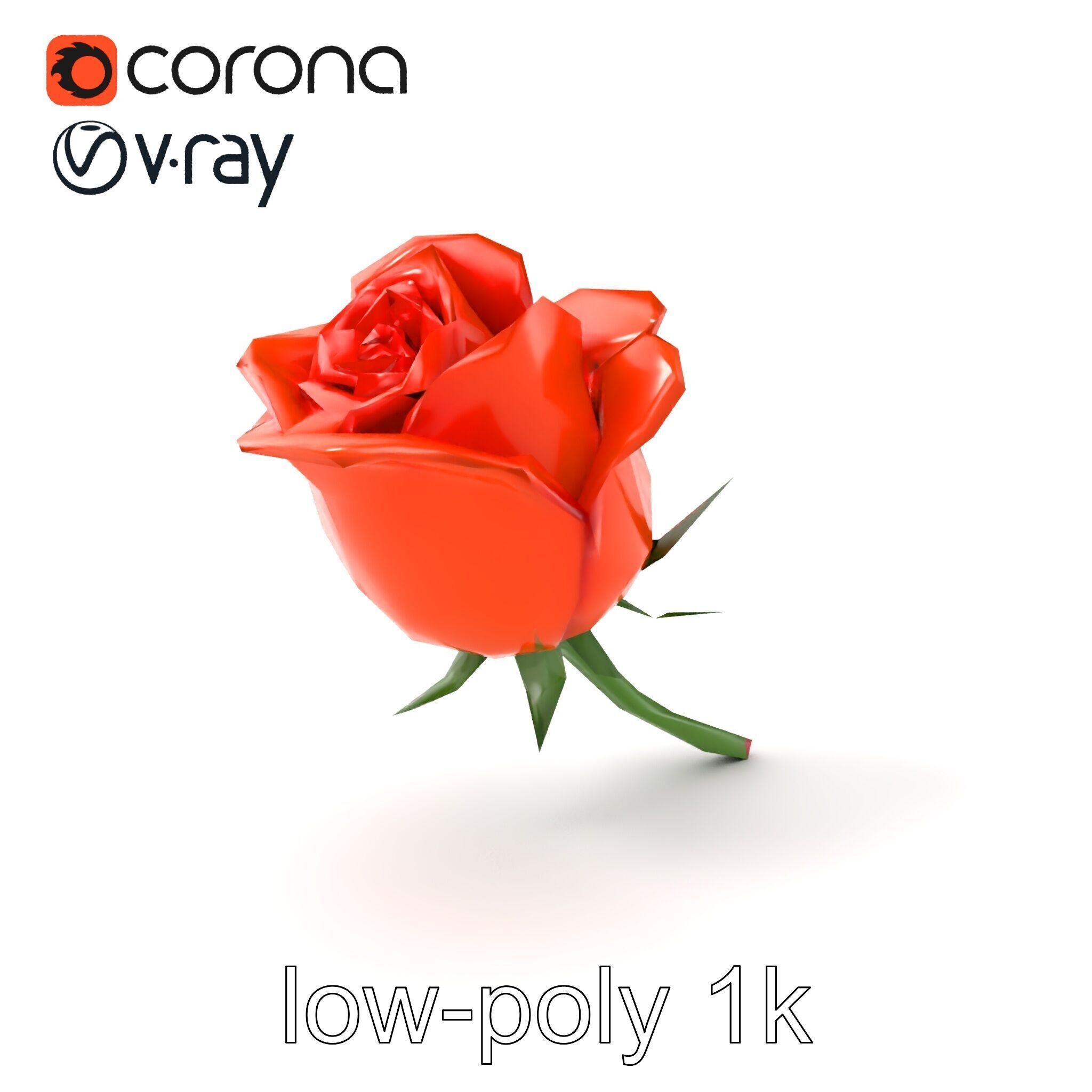 Rosa Orange Rose with Red Tips model pack Low-poly 3D model_5