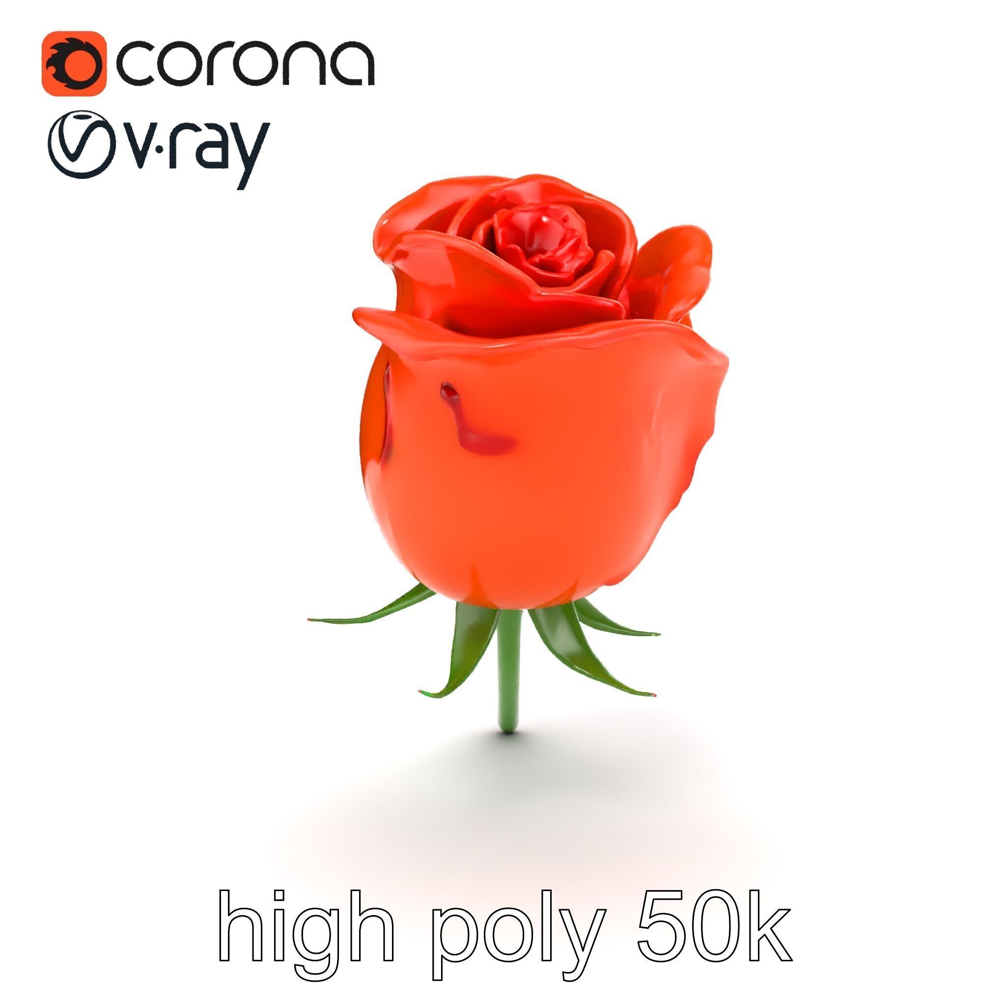 Rosa Orange Rose with Red Tips model pack Low-poly 3D model_28