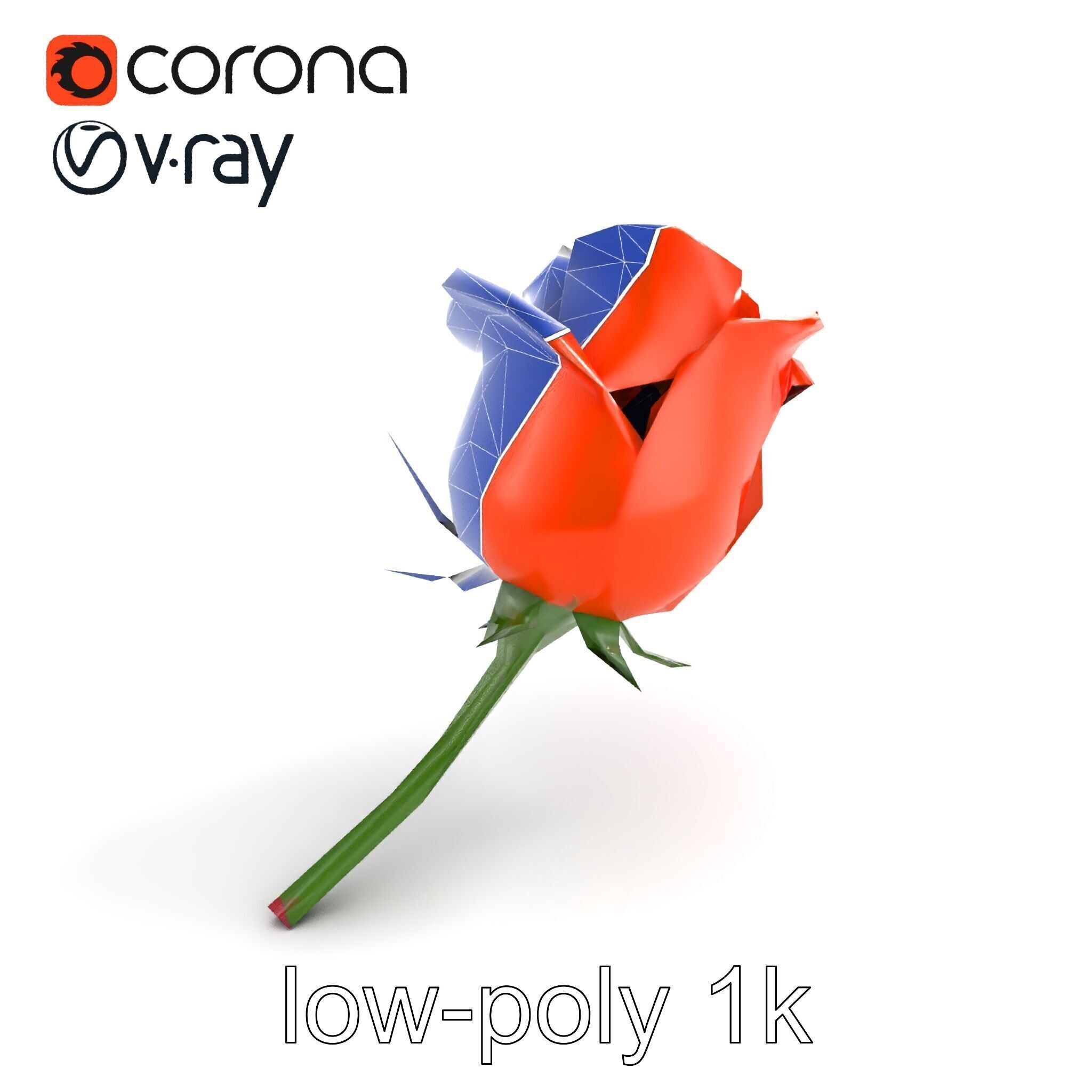 Rosa Orange Rose with Red Tips model pack Low-poly 3D model_11