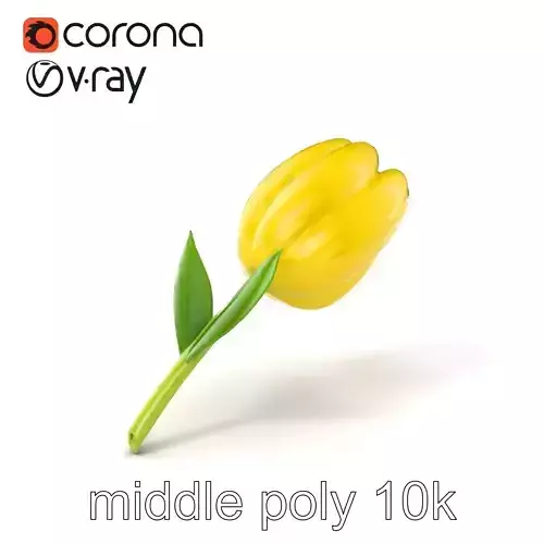 Tulipa Yellow Sun Petal Realistic 3D Model Pack Low-poly 3D model