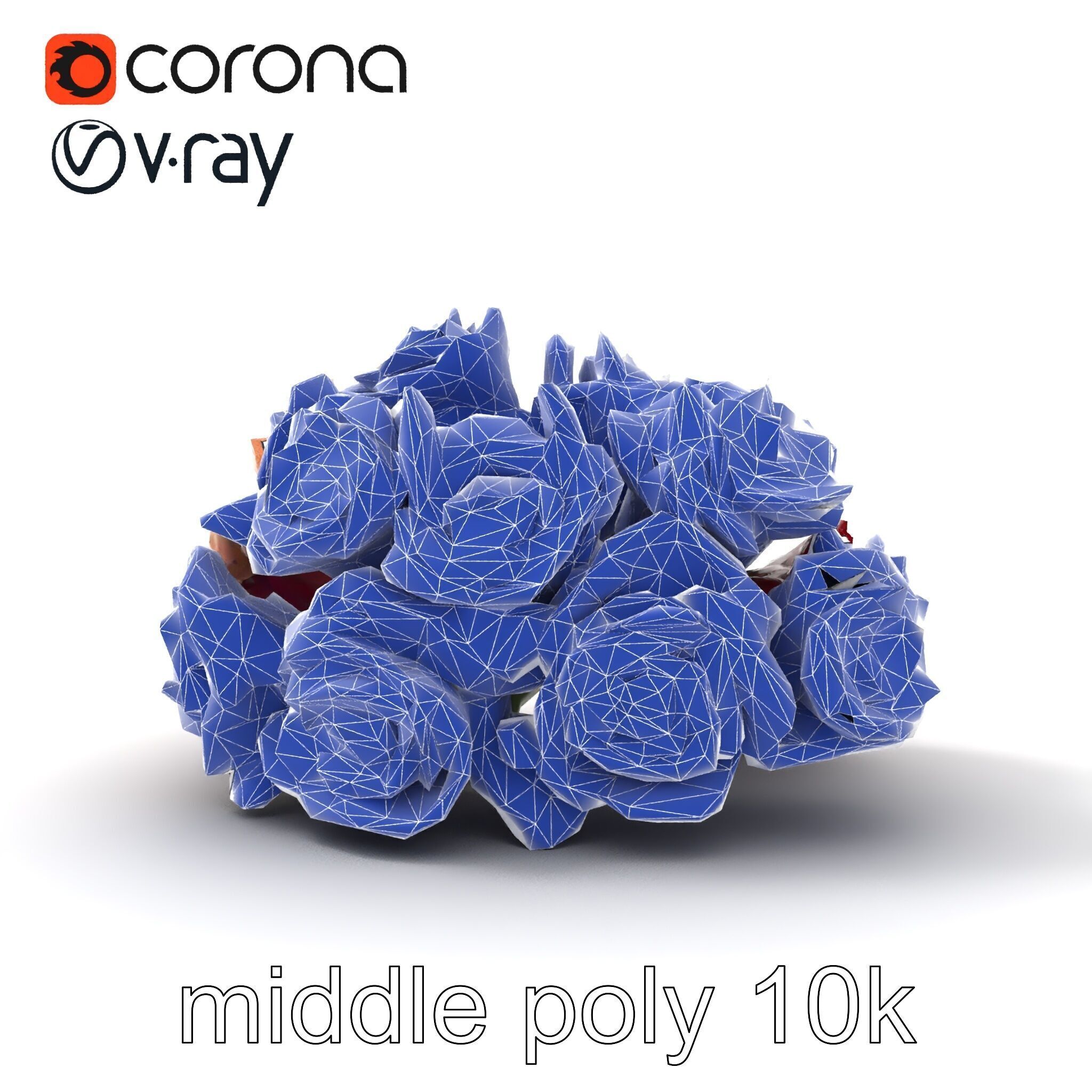 Realistic Rose Collection model pack Low-poly 3D model_16