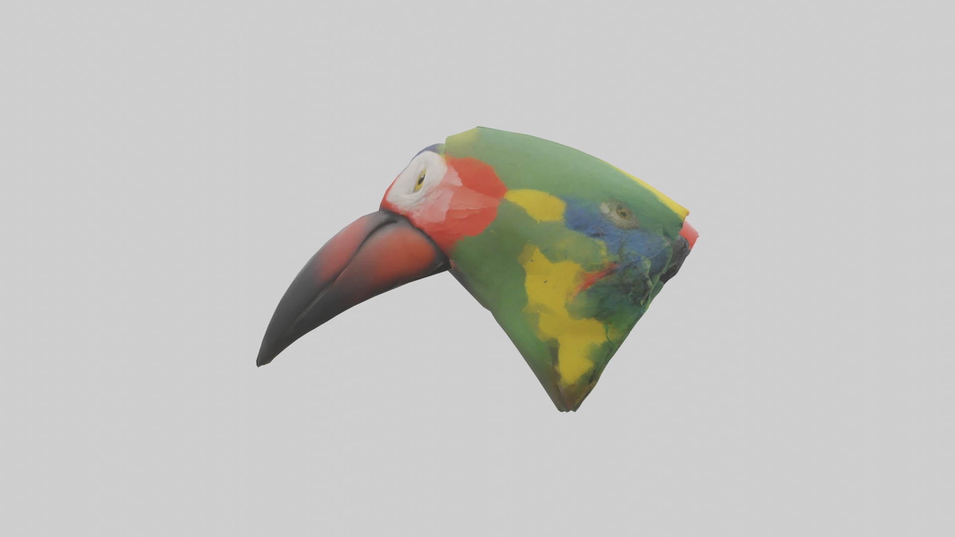 Parrot Beak Model Low-poly 3D model_13