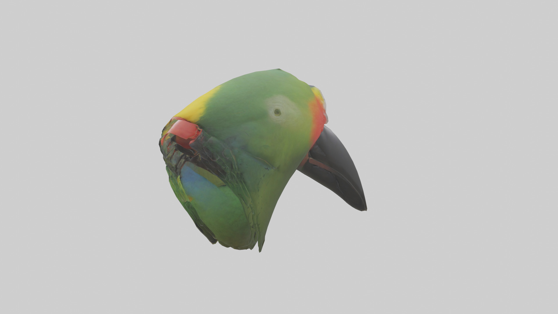 Parrot Beak Model Low-poly 3D model_10