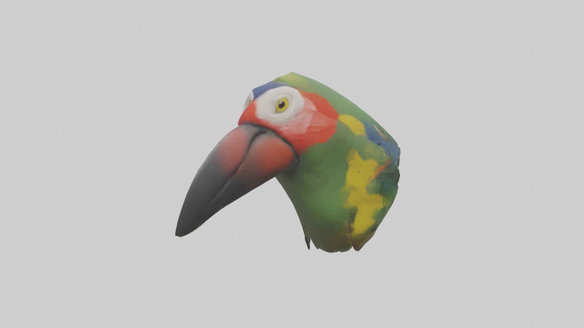 Parrot Beak Model Low-poly 3D model_2
