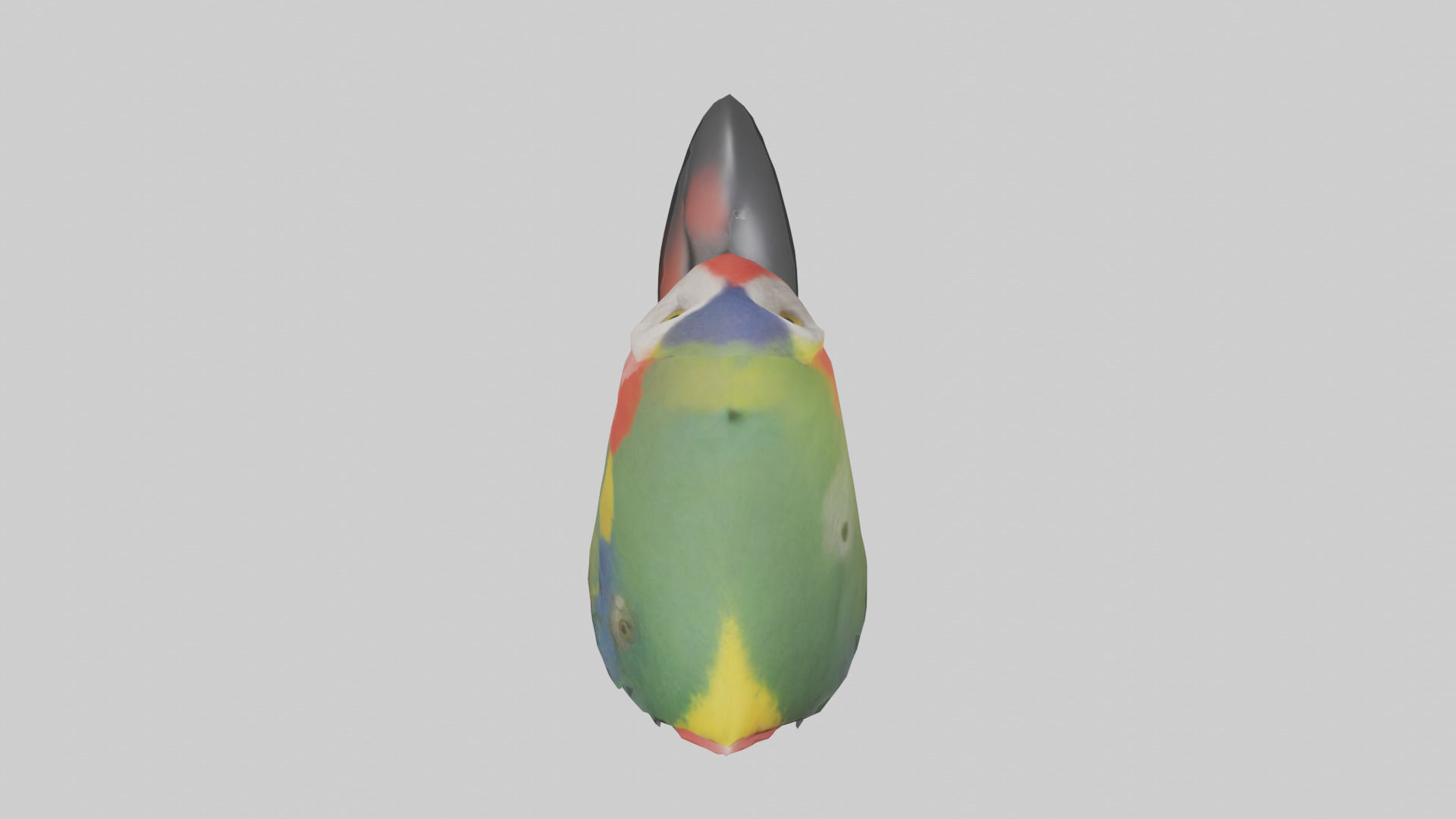 Parrot Beak Model Low-poly 3D model_14