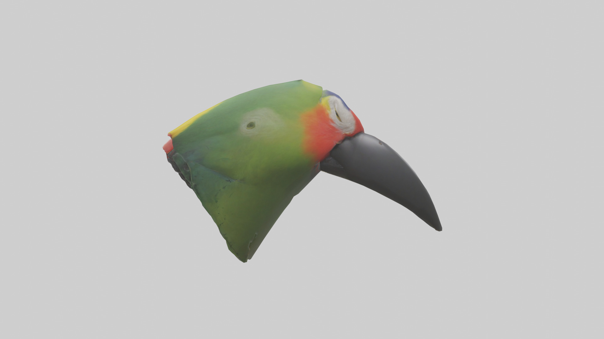 Parrot Beak Model Low-poly 3D model_12