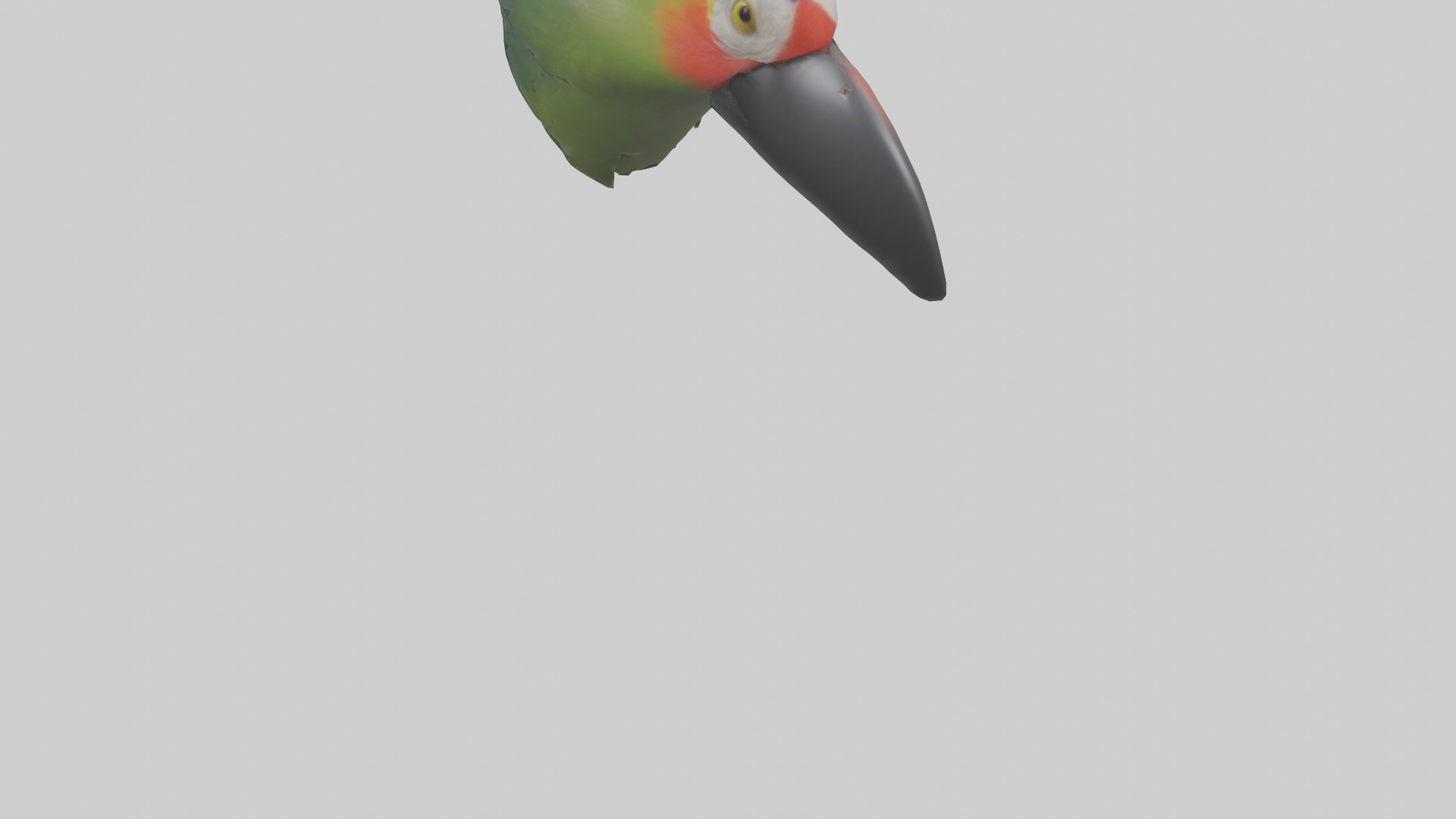 Parrot Beak Model Low-poly 3D model_3