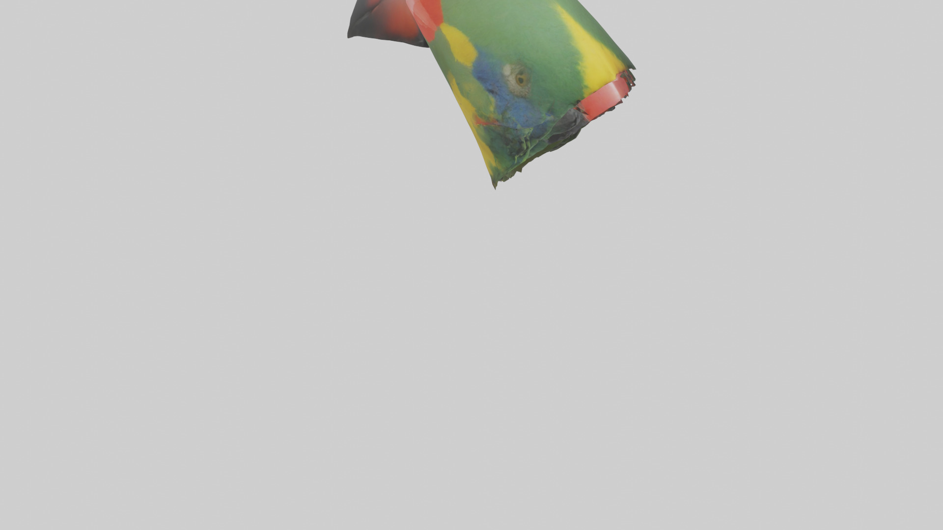 Parrot Beak Model Low-poly 3D model_6