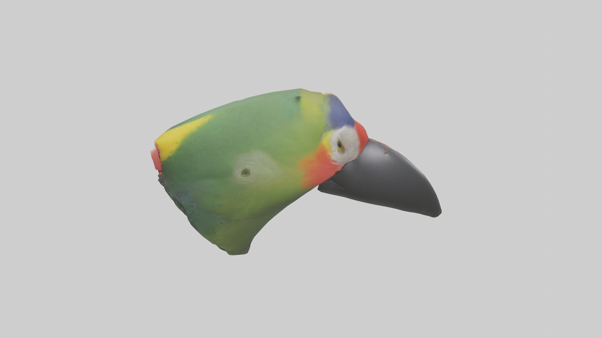 Parrot Beak Model Low-poly 3D model_17
