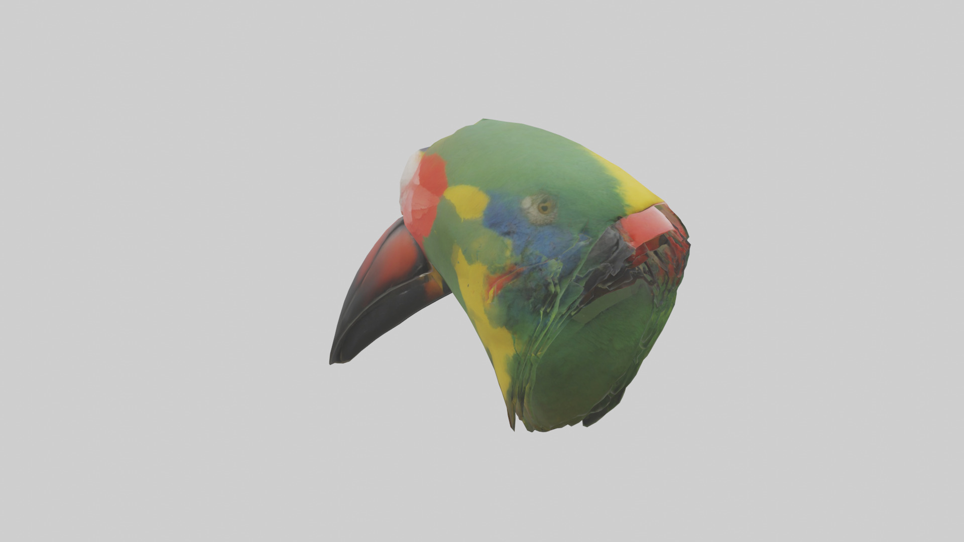 Parrot Beak Model Low-poly 3D model_7