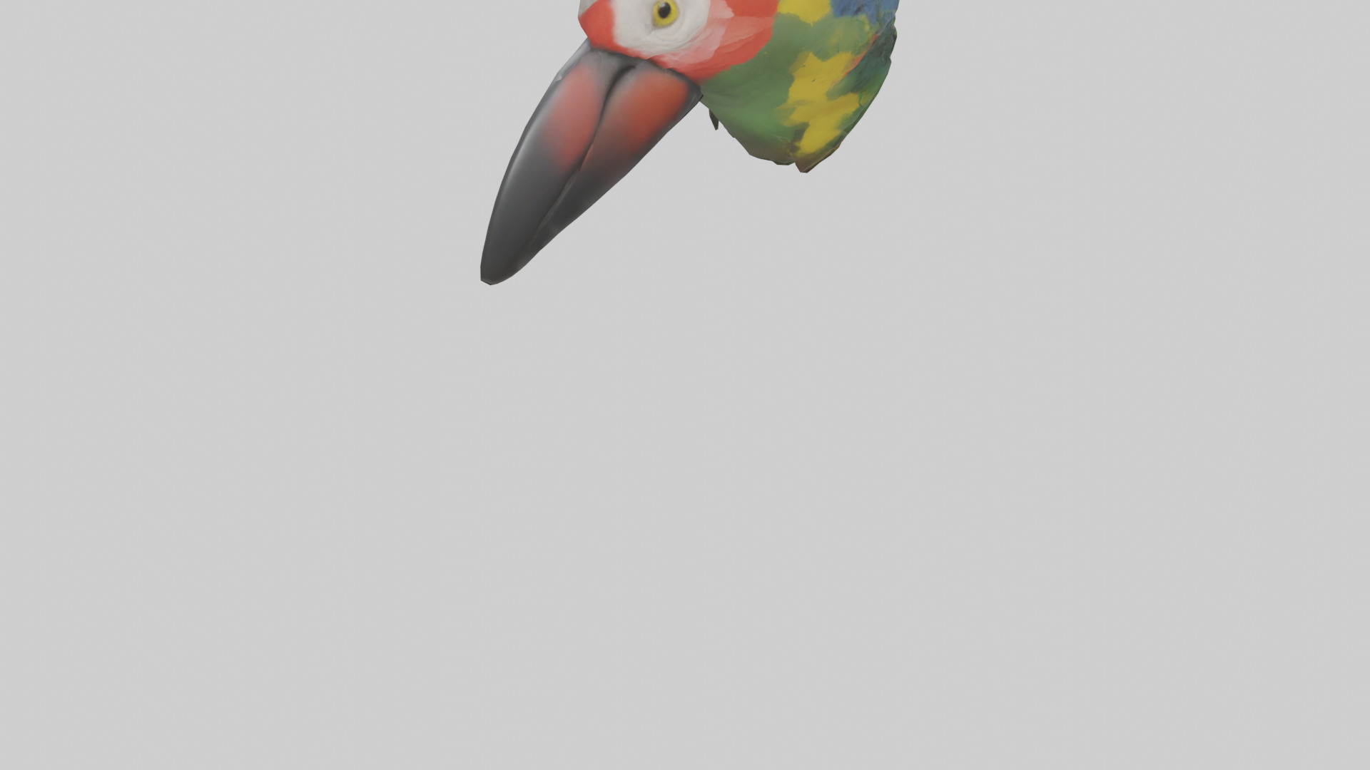 Parrot Beak Model Low-poly 3D model_4