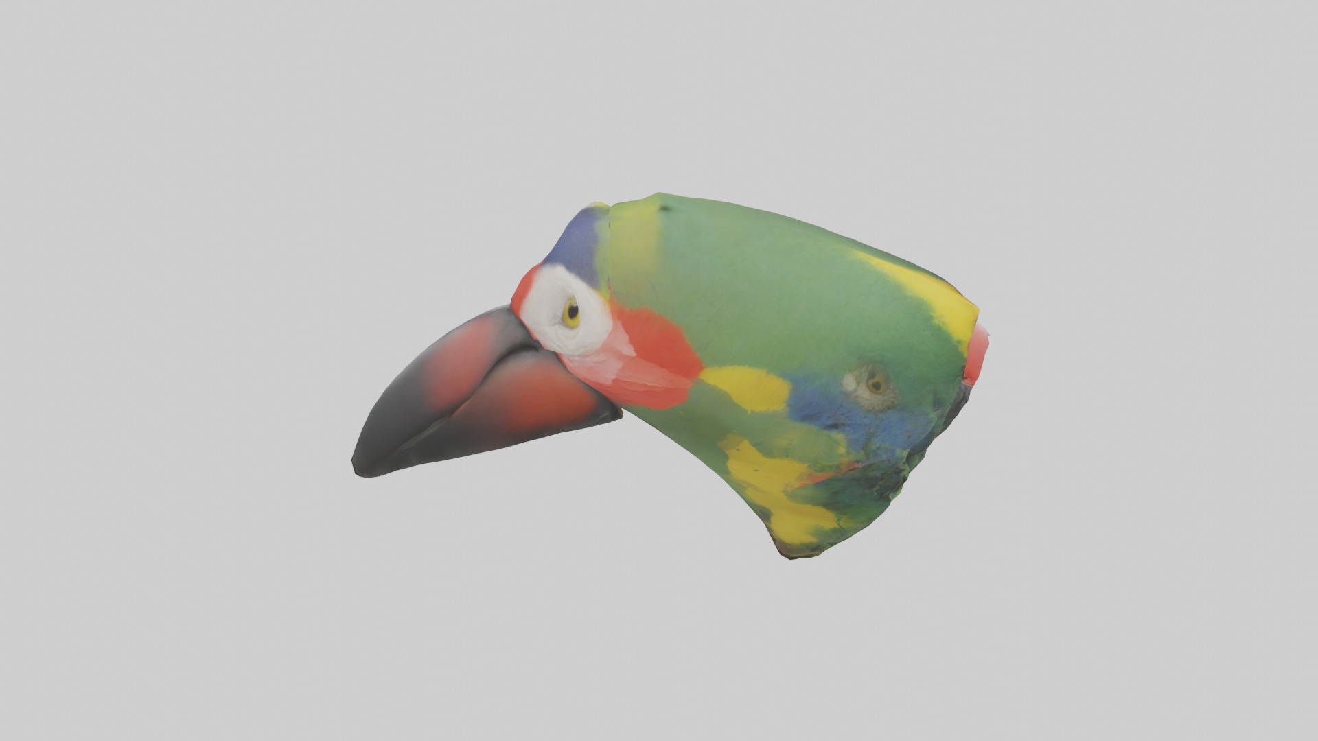 Parrot Beak Model Low-poly 3D model_18