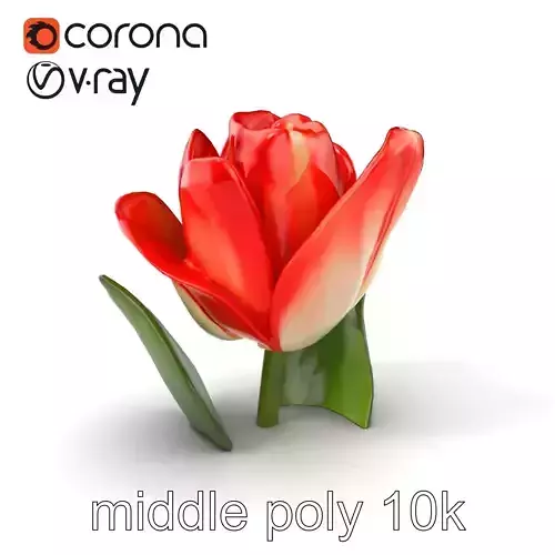 Tulipa Bicolor Blooming Elegance model pack Low-poly 3D model