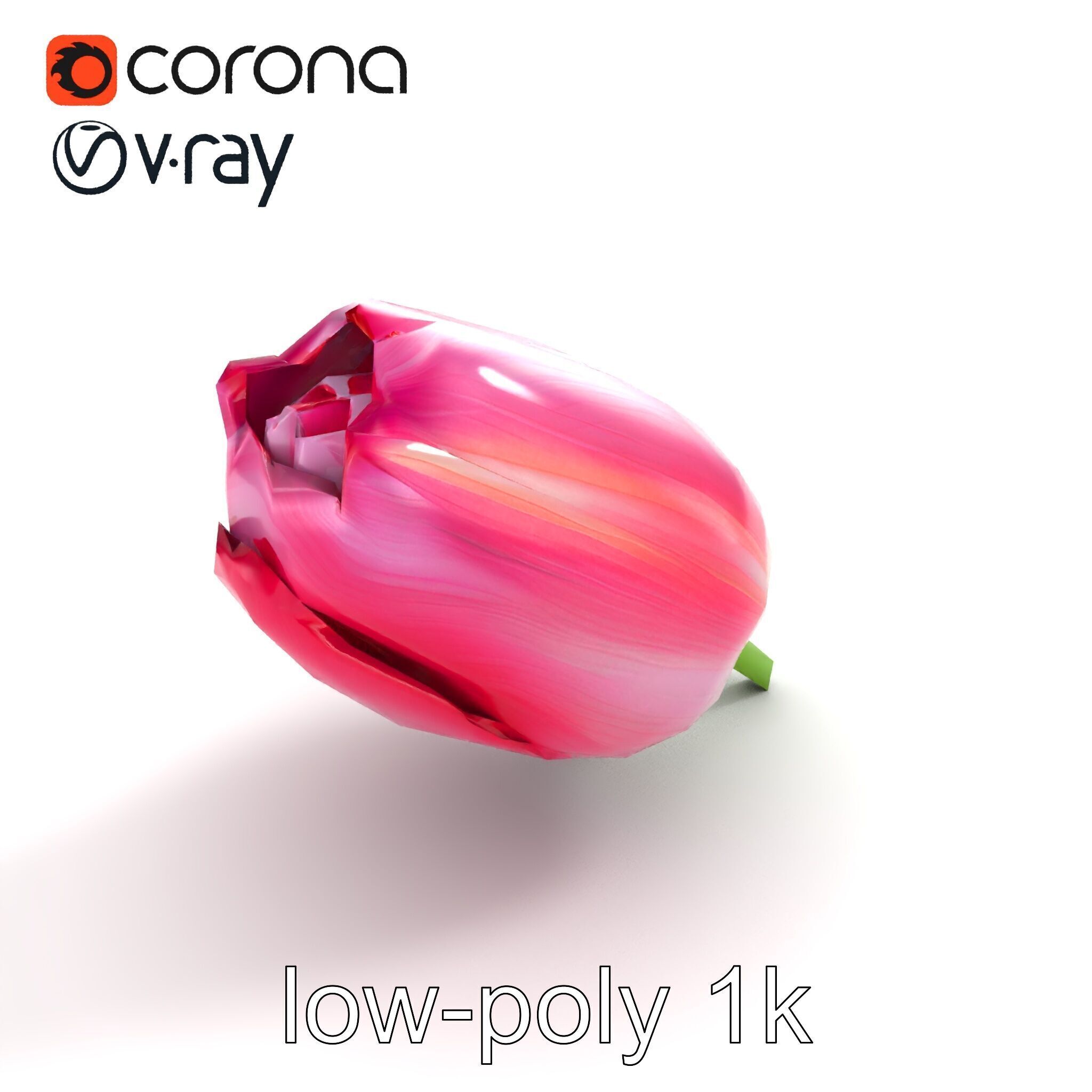 Pink Tulip Flower Realistic Model Pack Low-poly 3D model_9